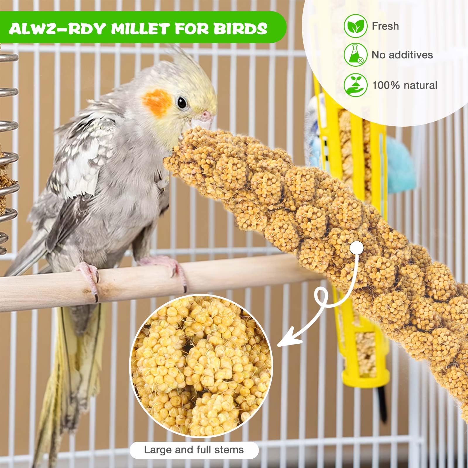 Millet for Birds 1.2LB, Natural Sun-Dried Millet Spray for Birds Seed No Stems Only Edible Tops for Parakeet, Budgies, Finches,