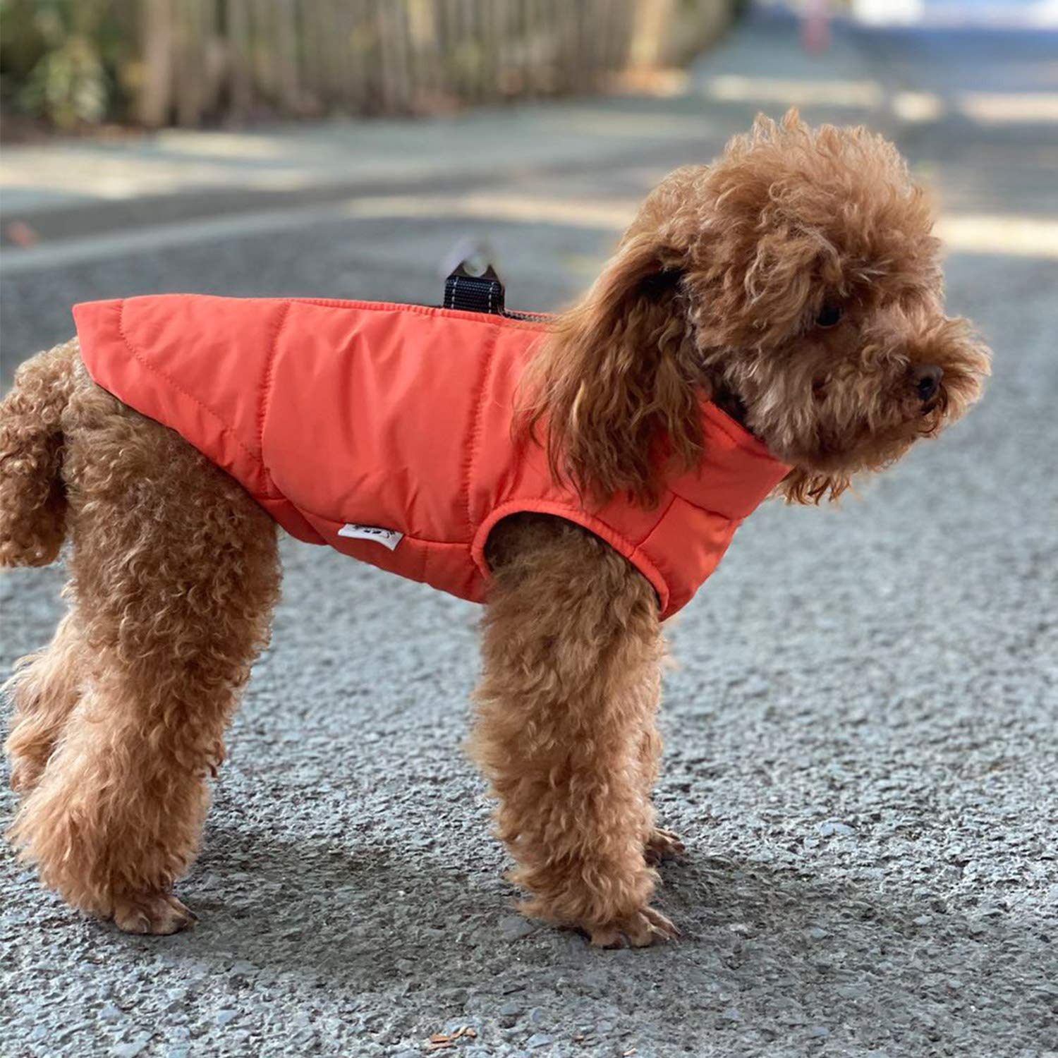 Dog Winter Vest With Cotton Lining, Waterproof Ultra Warm Dog Winter Coat Windproof Zippered Jacket Breathable Soft Dog Coat For Small Medium Large Dogs Orange S