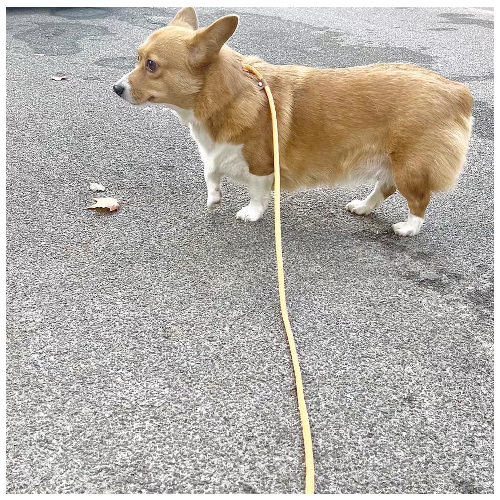 Btinesful 7Ft Slip Lead Dog Leash, Strong Nylon Rope Leash, 1/4 Inch Diam Dog Training Lead For Small Medium Large Dogs, Beige