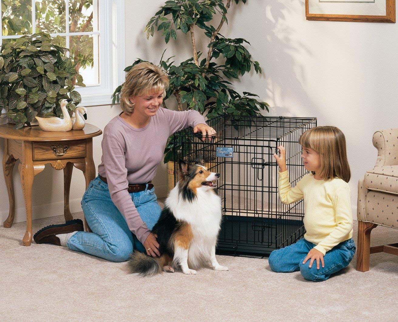 Medium Dog Crate | Midwest Life Stages 30' Folding Metal Divider Panel, Floor Protecting Feet, Plastic Tray 30L X 19W 21H Inches, Breed
