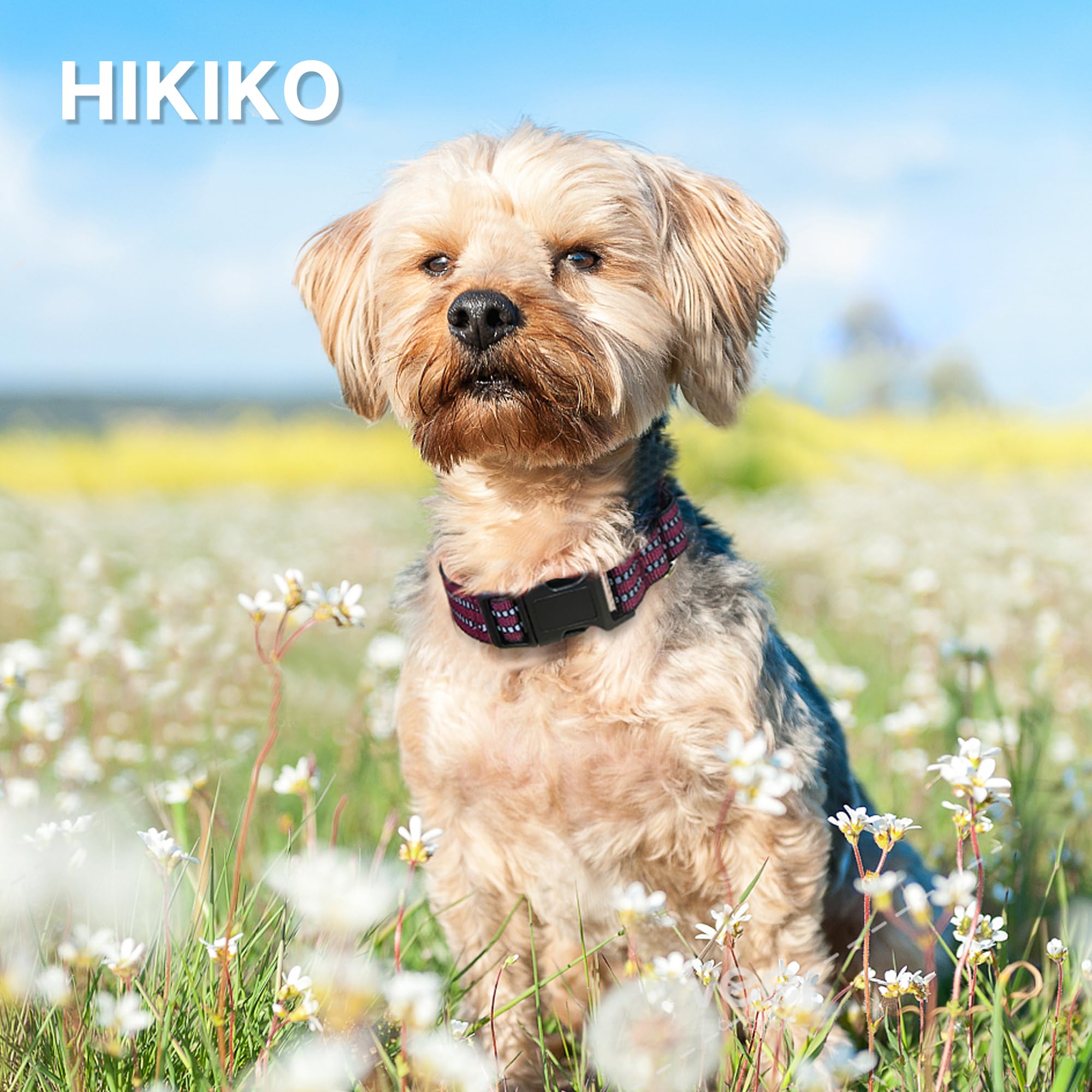 Hikiko Martingale Dog Collars Reflective Nylon Dog Collar With Quick Release Buckle Adjustable Training No Slip Dog Collar (Medi
