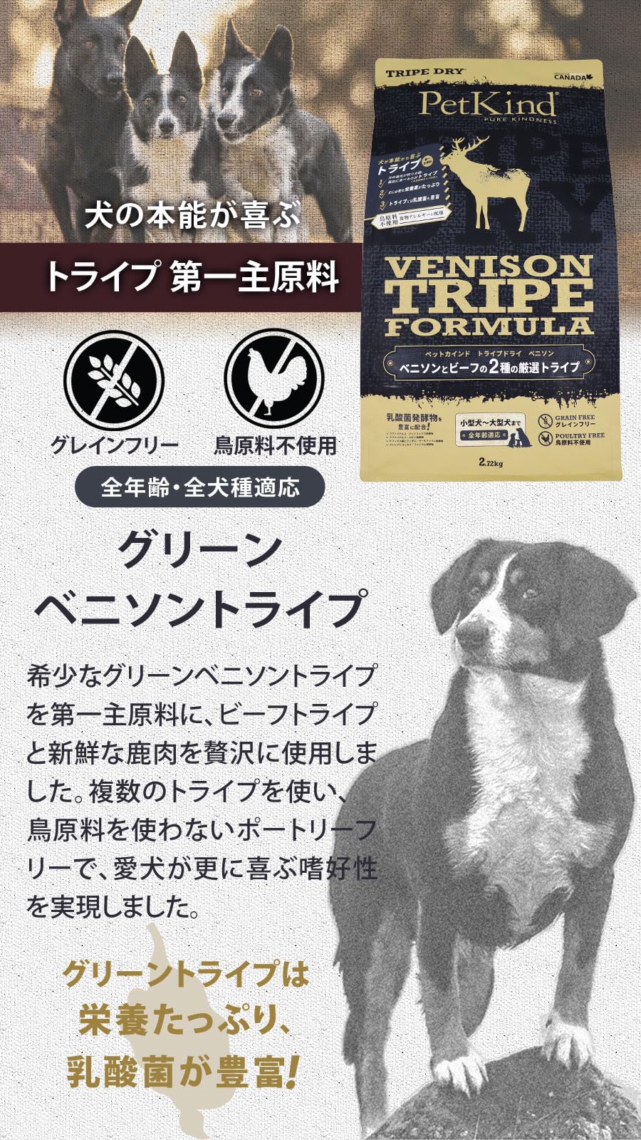 PetKind Tripe Dry Venison Tripe Formula Grain-Free Dry Dog Food 6 Pounds