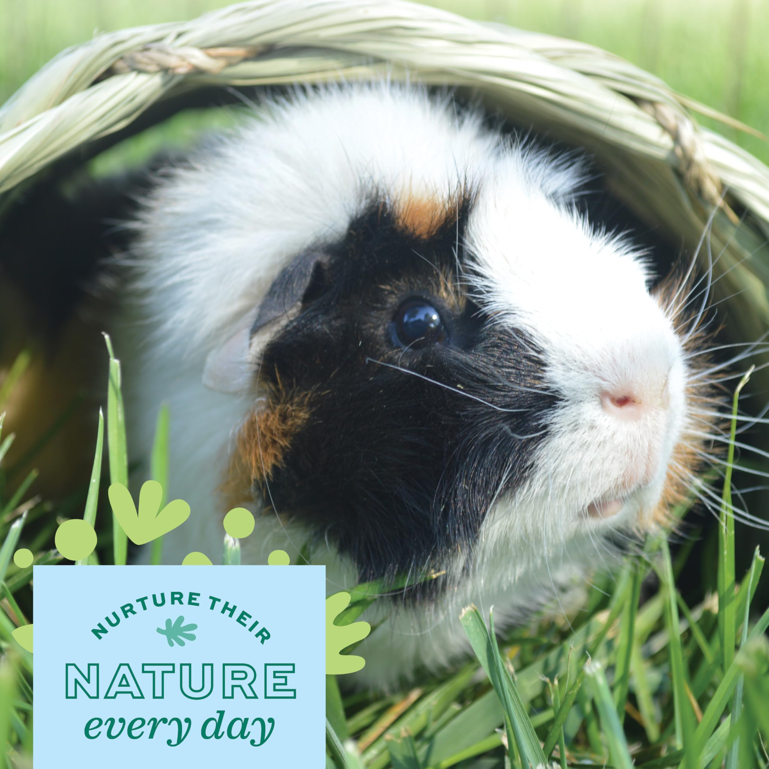 Oxbow Animal Health Timothy Hay Tunnel