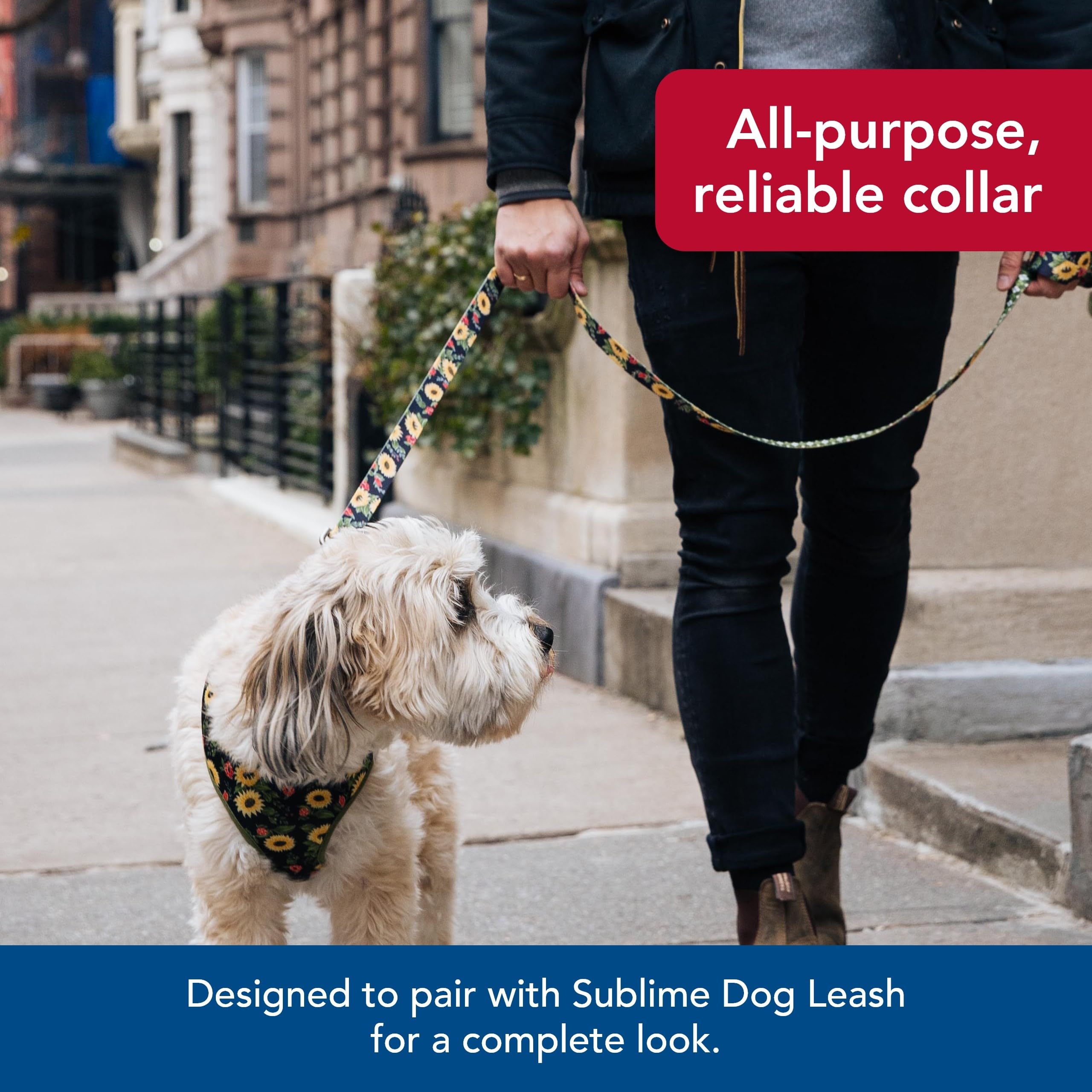 Coastal Pet Sublime Adjustable Dog Collar - Adjustable Plastic Buckle - Vibrant & Colorful Dog Collar With Fade-Resistant Patterns - Sunflower With Green Argyle, Medium - 1' X 12'-18'