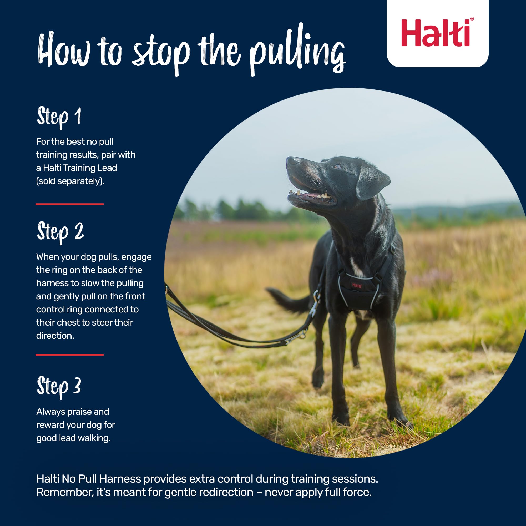 Halti No Pull Harness - To Stop Your Dog Pulling On The Leash. Adjustable, Lightweight And Easy To Use. Reflective Dog Training