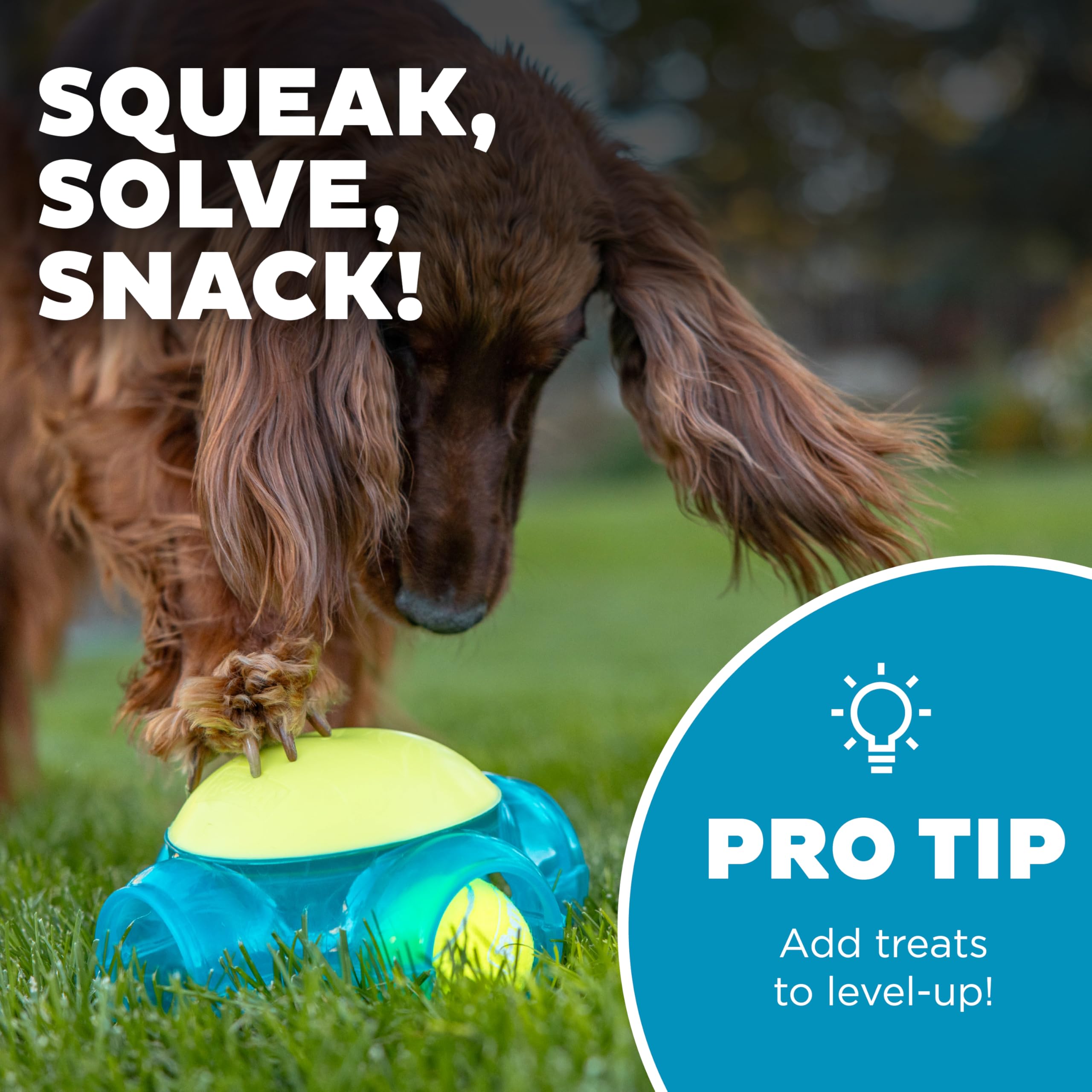 Outward Hound Tennis Maze Craze Interactive Squeaky Dog Toy, Blue