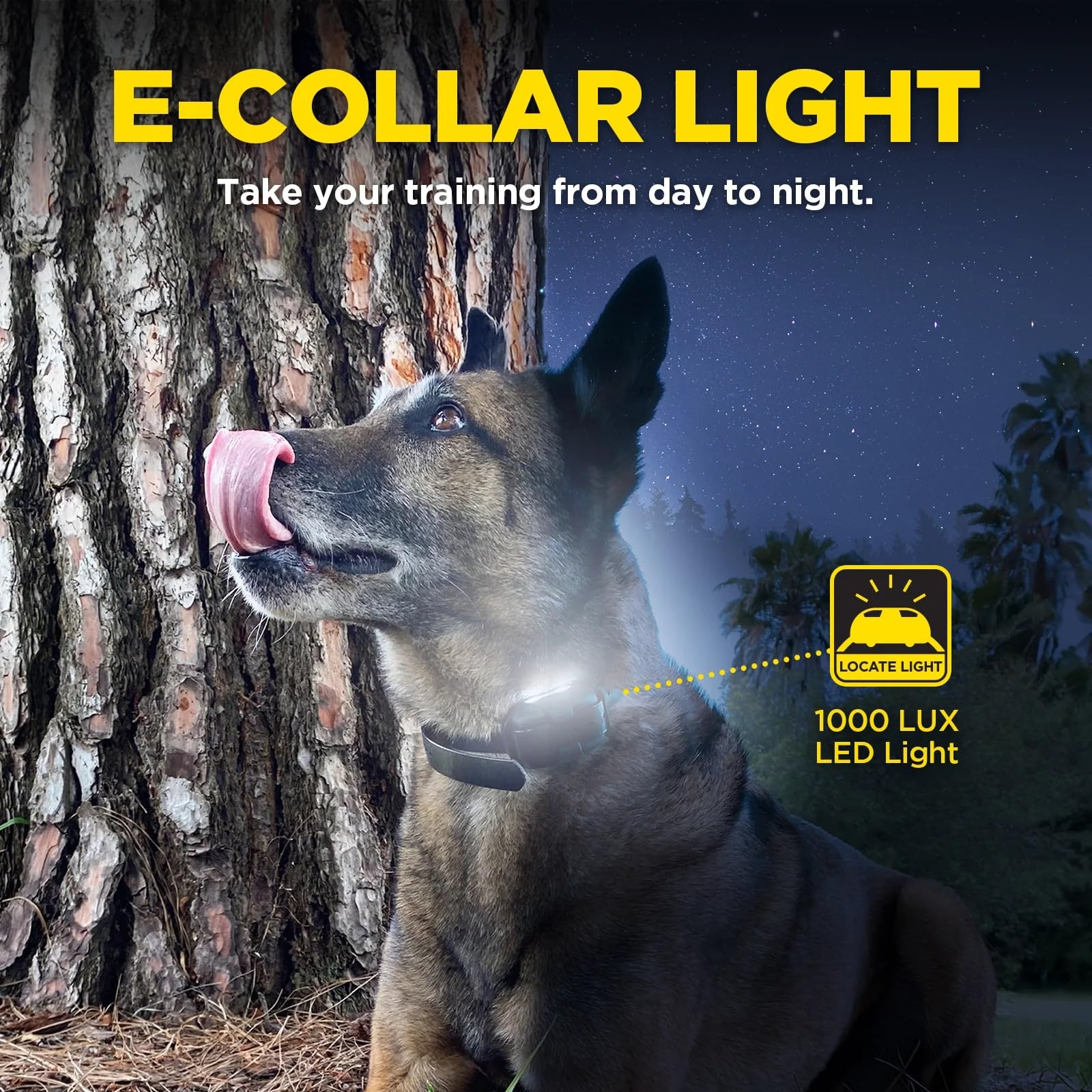Dogtra 280X E-Collar Additional Receiver 10 lbs+, 1/2 Mile Range, LED Light, 100 Levels of Precise Control for Stubborn Dogs, Wa