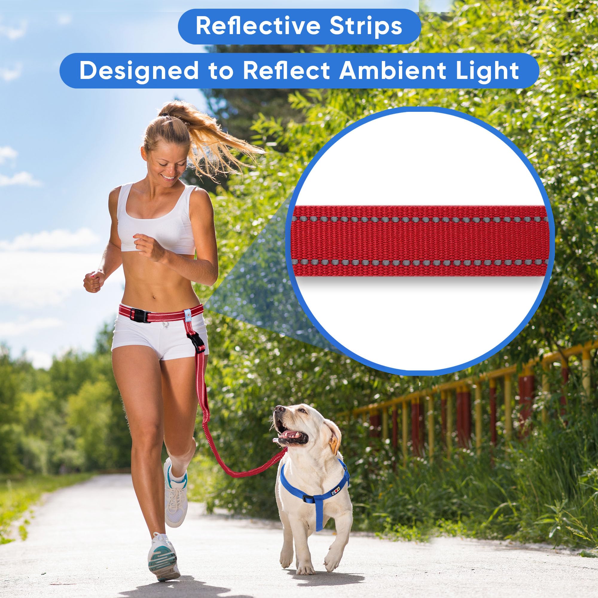 Pawtitas Red Hands Free Dog Leash For Large Dogs, Running Leash With Bungee, Reflective For Night Walking