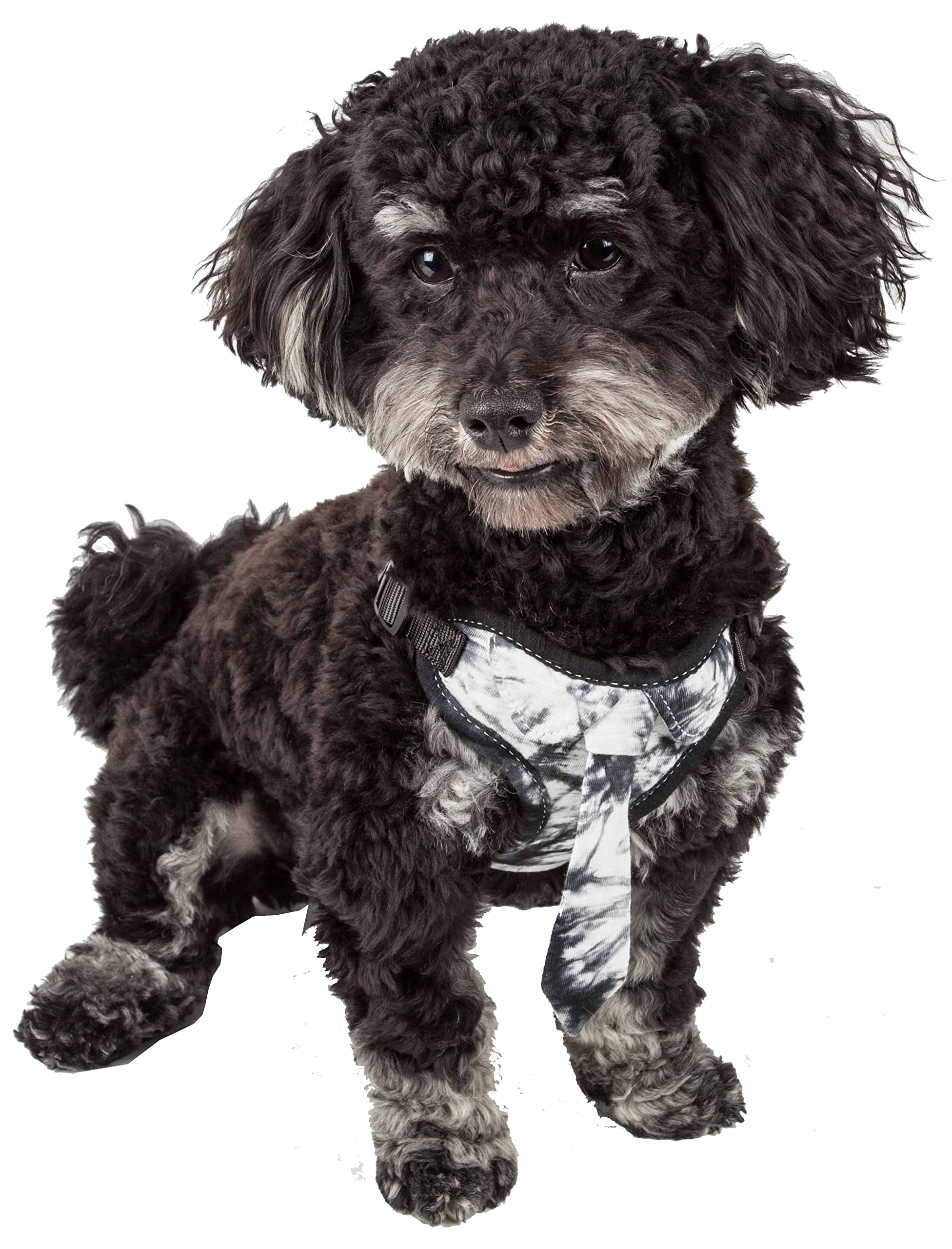Pet Life Bonatied Mesh Reversible And Breathable Adjustable Dog Harness W/Designer Neck Tie, Small, Camo