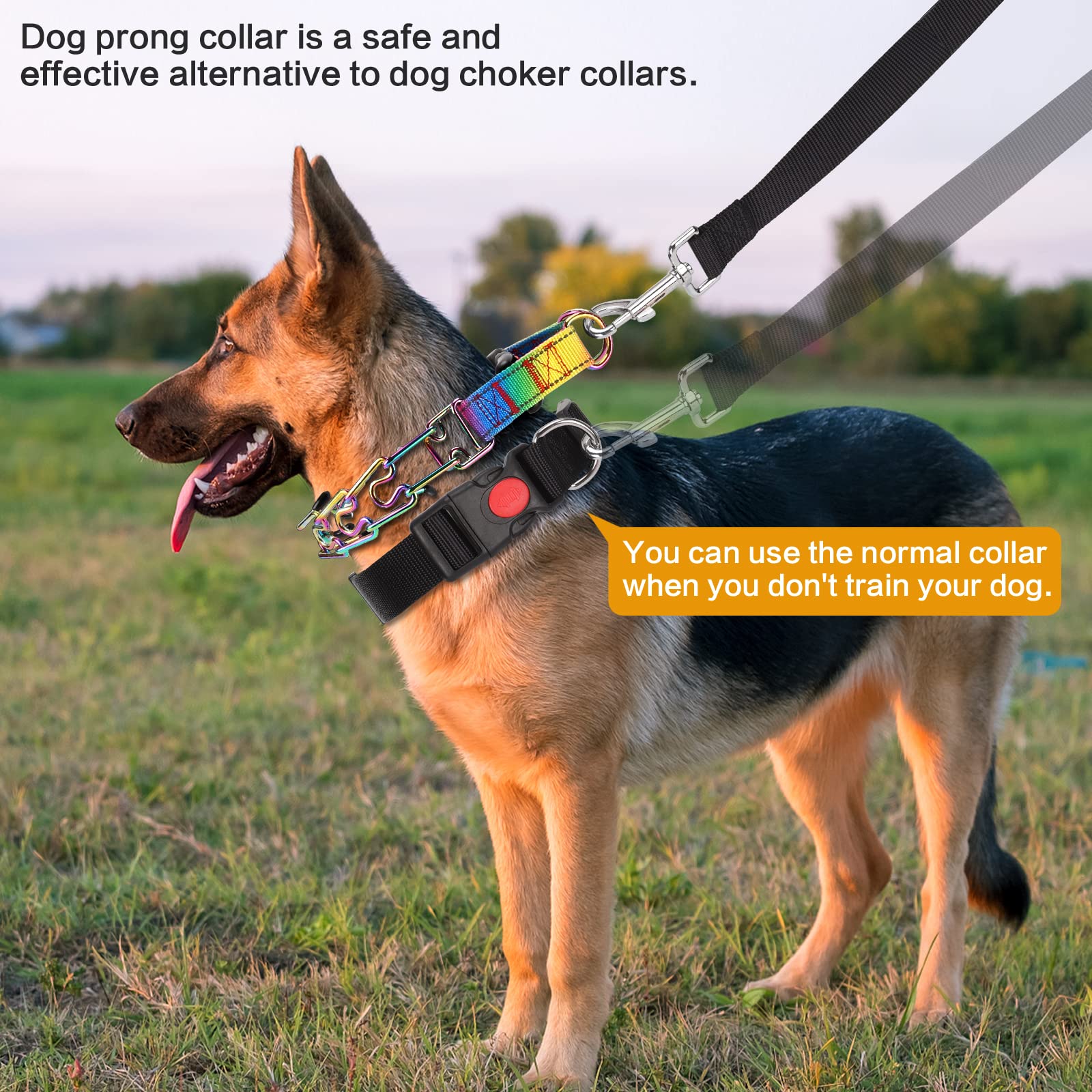 Prong Training Collar With Nylon Cover Comfort Tips and Quick Release Snap Buckle, Classic Collar and Leash for Small Medium Lar