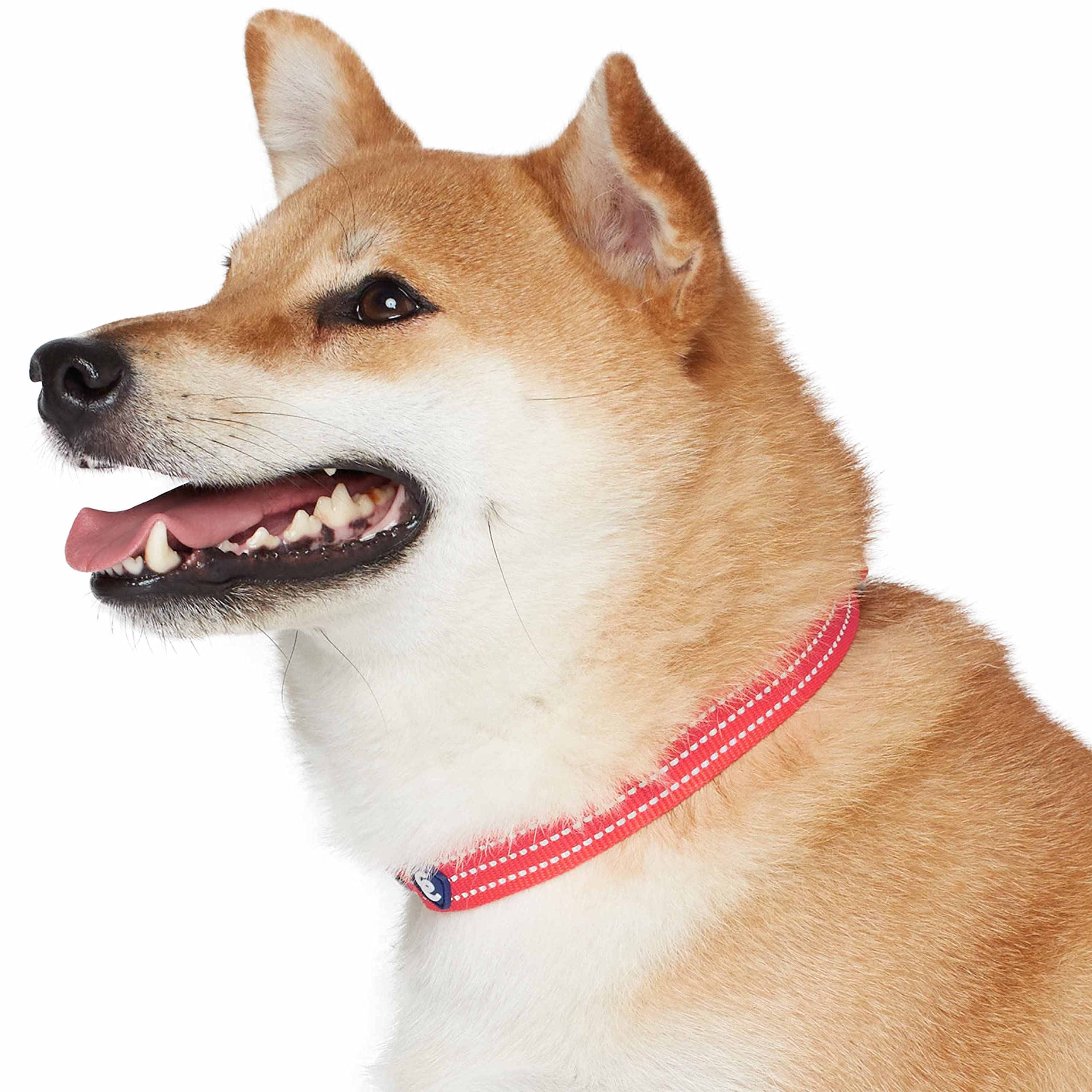 Blueberry Pet Essentials Matching Medium Dog Collar | Adjustable Classic Solid Color Nylon Dog Collars for Medium Dogs | Reflect