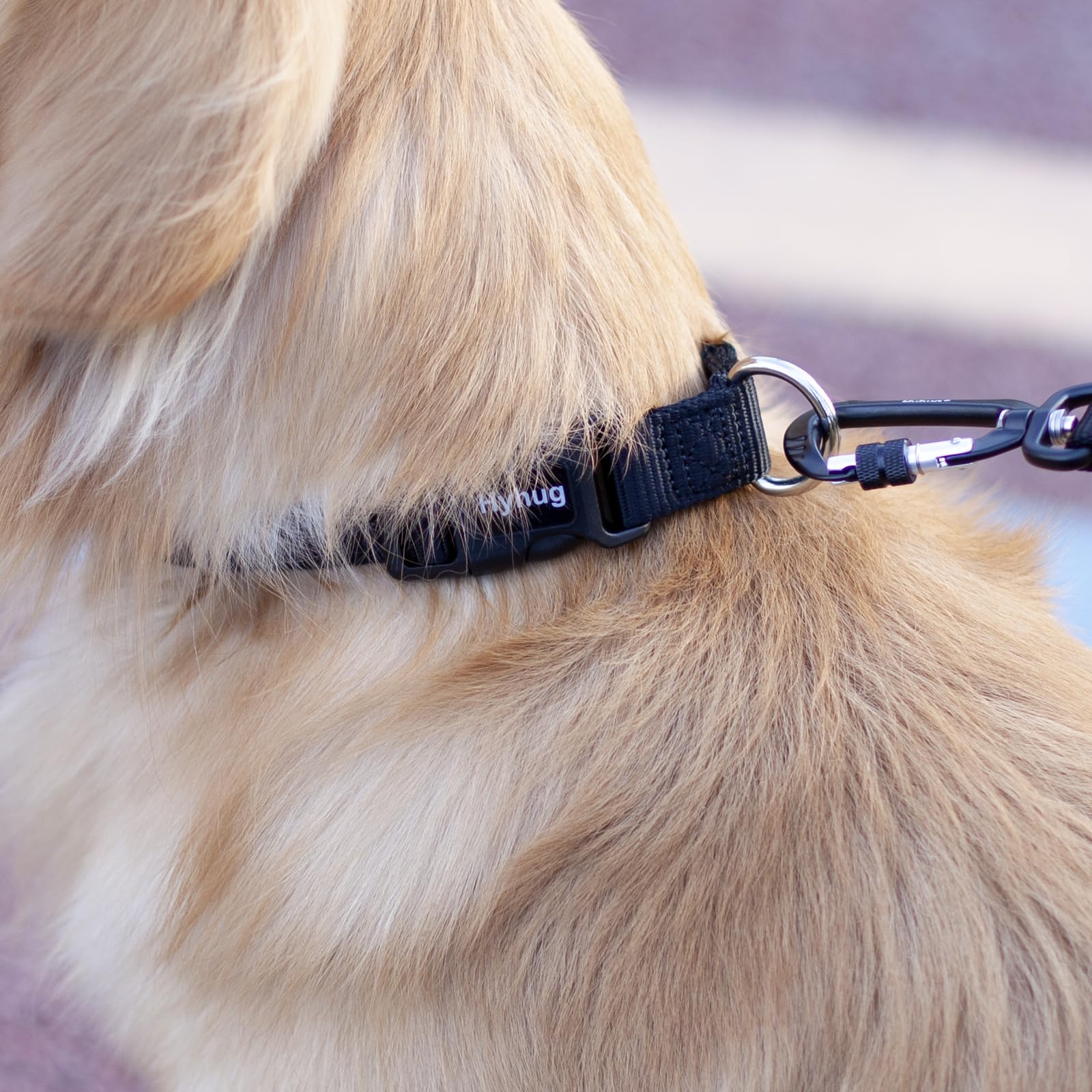 Hyhug Dog Collar for Large Dogs, Heavy Duty Black| Quick Release Nylon Buckle Collar, Adjustable & Durable Pet Supplies for Boy