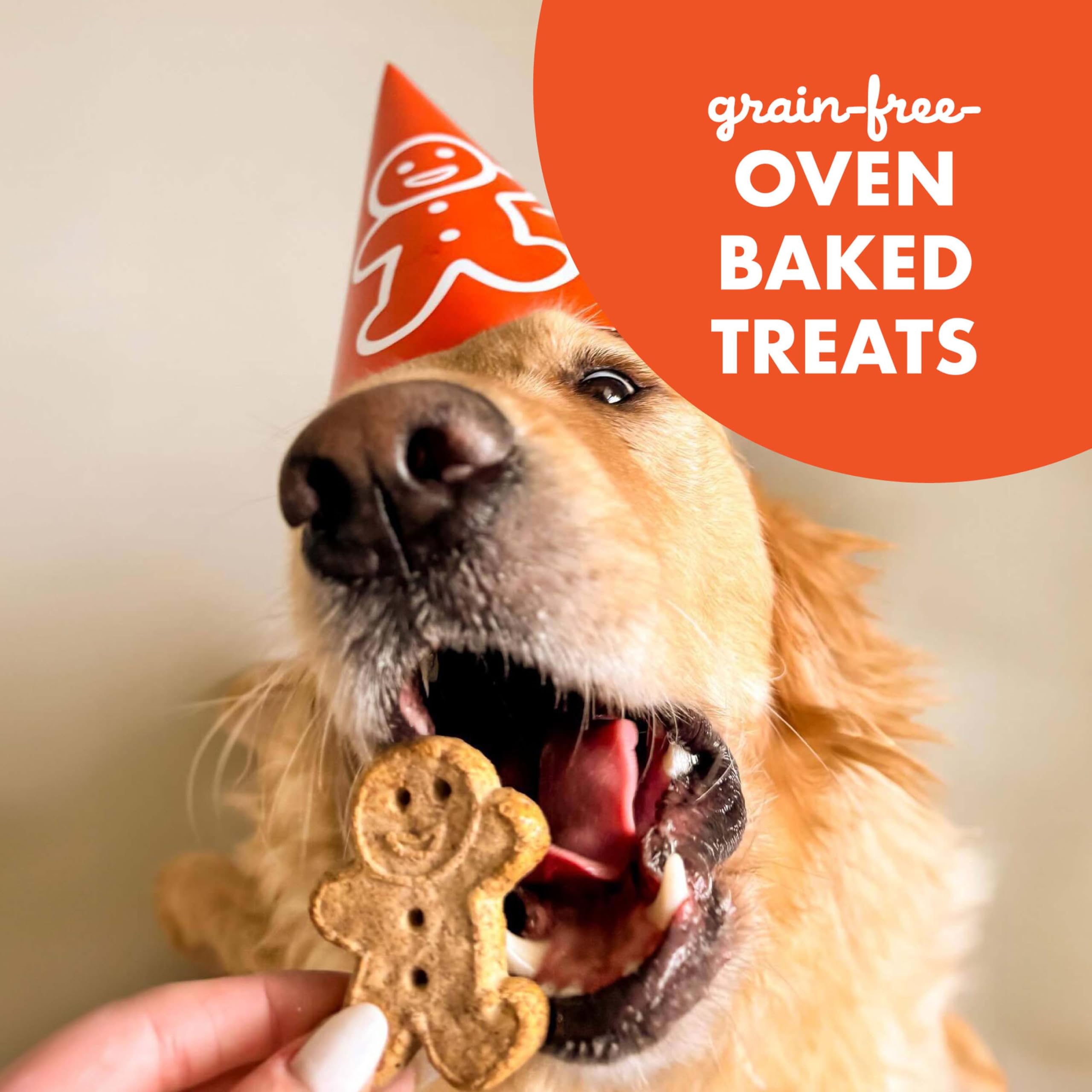 Buddy Biscuits 14 oz Box of Grain-Free Crunchy Dog Treats Made with Natural Peanut Butter