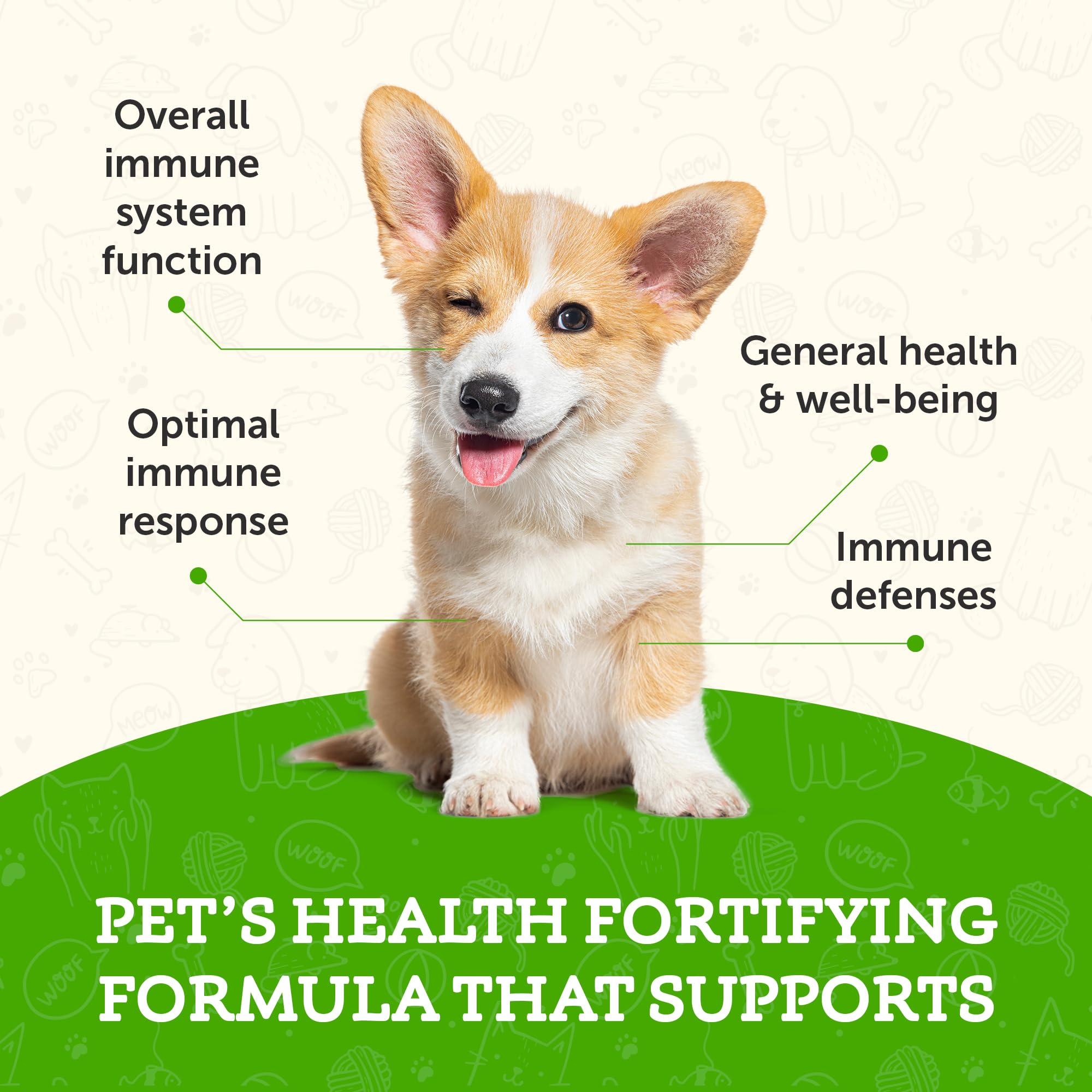 Animal Essentials Super Immune Support for Dogs & Cats, 2 fl oz - Ol Complex, Promotes Healthy Immune System