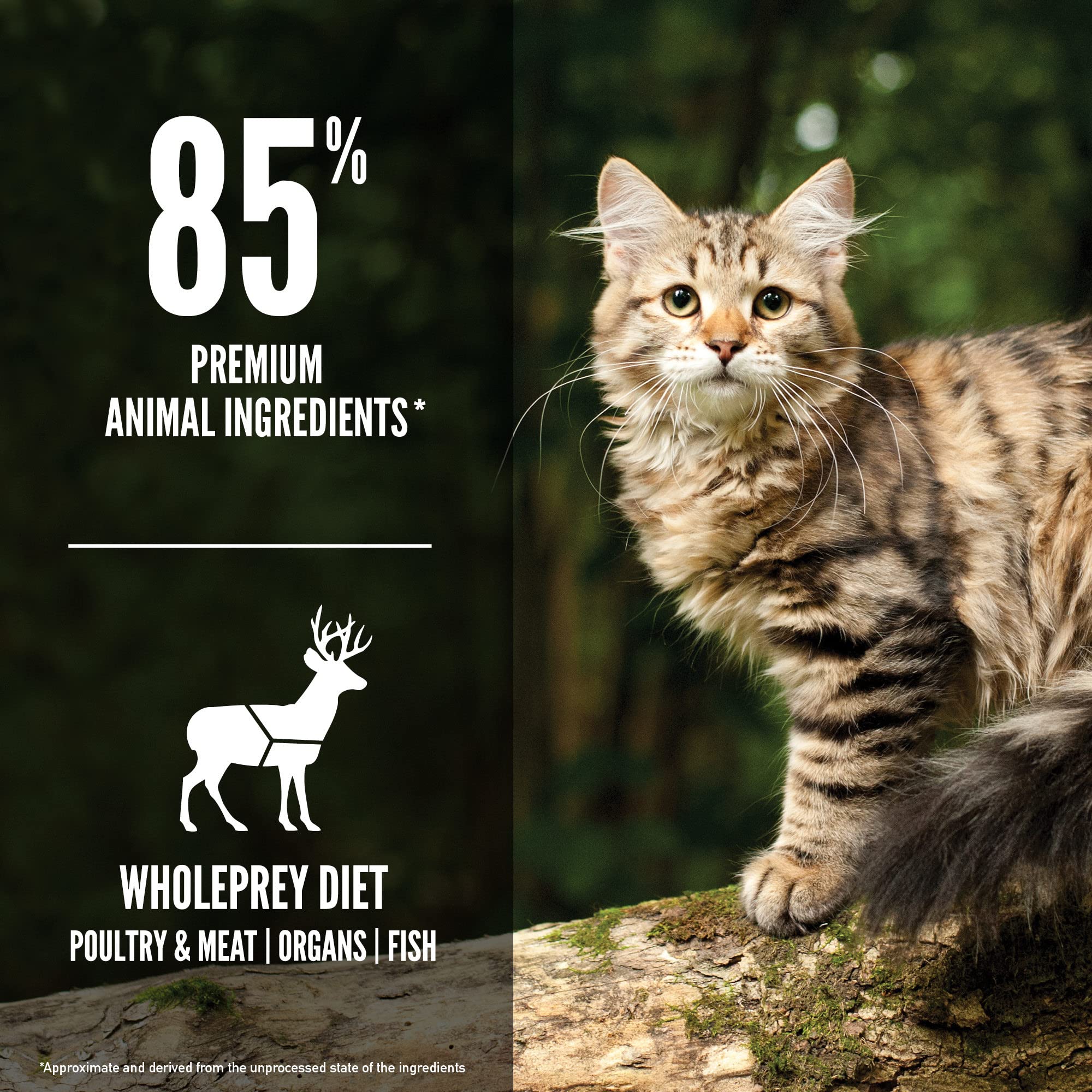 ORIJEN Tundra Dry Cat Food, Grain Free, WholePrey Diet, 4lb, Green