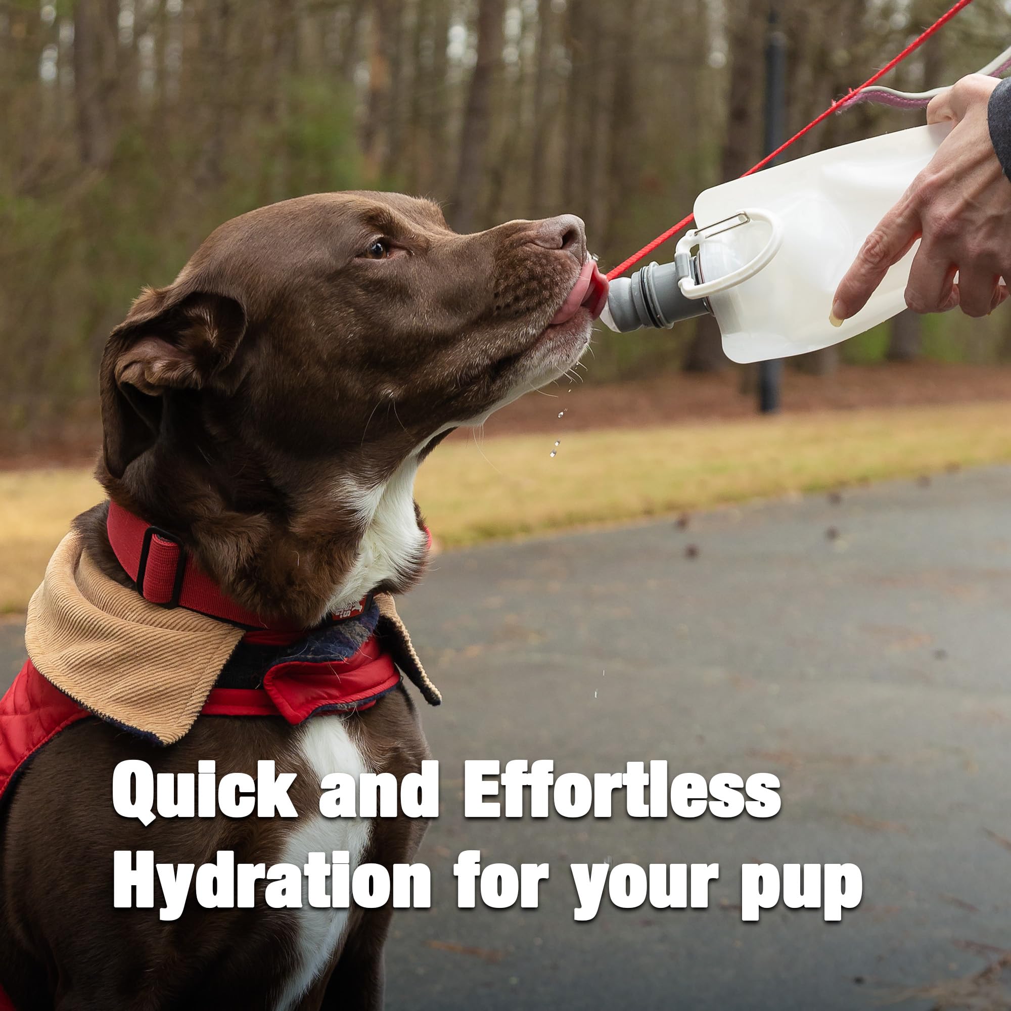 Vapur Ez Lick Flexible, Collapsible Dog Water Bottle With Patented Lick Activated Technology, Portable Hydration Water Dispenser For Walks, Hikes, And Travel, 23 Ounce, Whiteout, Pack Of 1