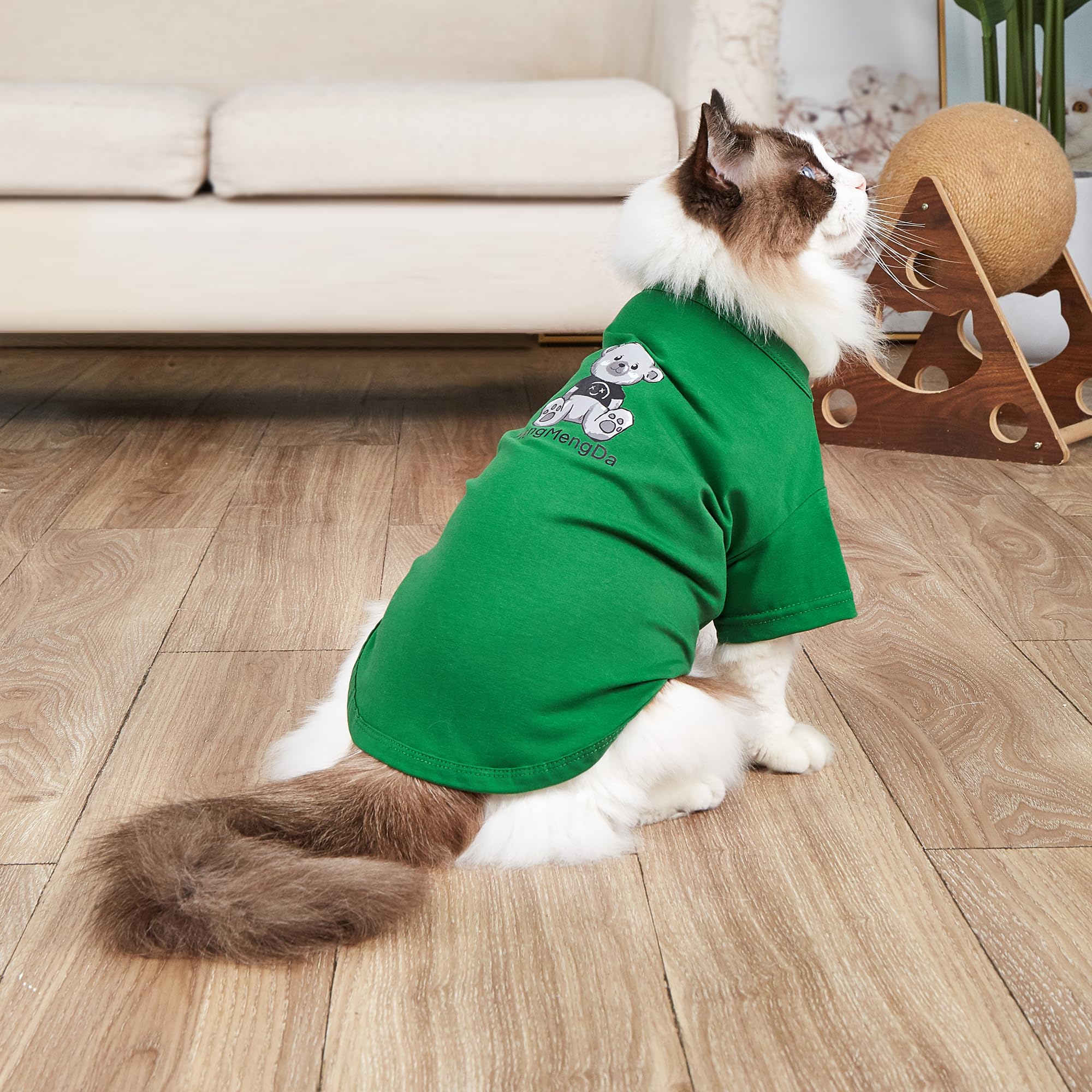 Mengmengda Dog Shirts For Small Medium Dogs, Puppy Cartoon Tee Shirt, Clothes For Medium Dogs, Schnauzer, Corgi, Dachshund, Pupp