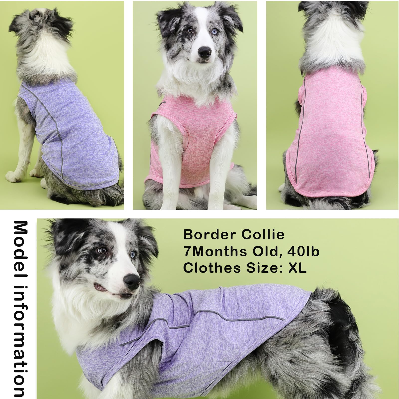 Vehomy 2 Pack Quick-Dry Summer T-Shirt For Dogs - Breathable Cooling Tank Top With Reflective Strips, Sun Protection Clothes For