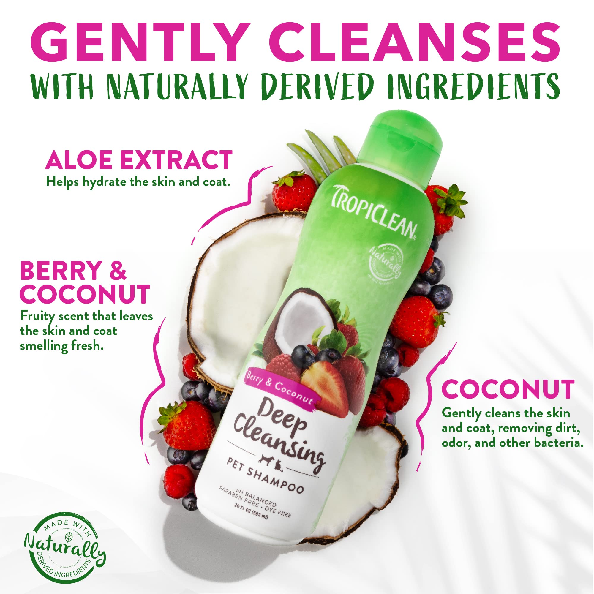 Tropiclean Berry & Coconut Deep Cleansing Dog Shampoo | Deodorizing Natural Pet Shampoo Derived From Natural Ingredients | Cat Friendly | Made In The Usa | 20 Oz.