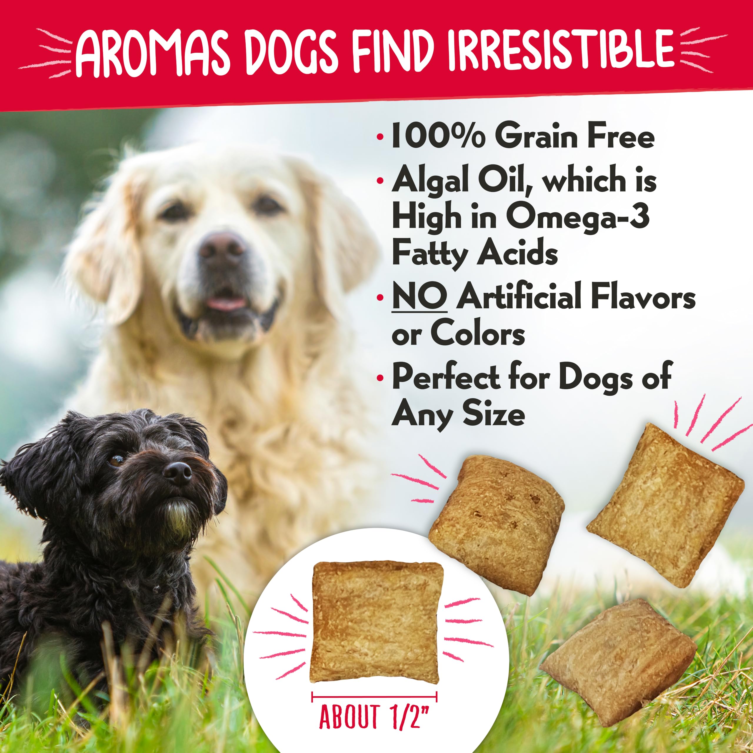 Charlee Bear Nuggets Crunchy and Soft Dog Treats, Strawbeary Swirl, 6 Ounce Resealable Bag, Skin and Coat Support, Grain Free, L