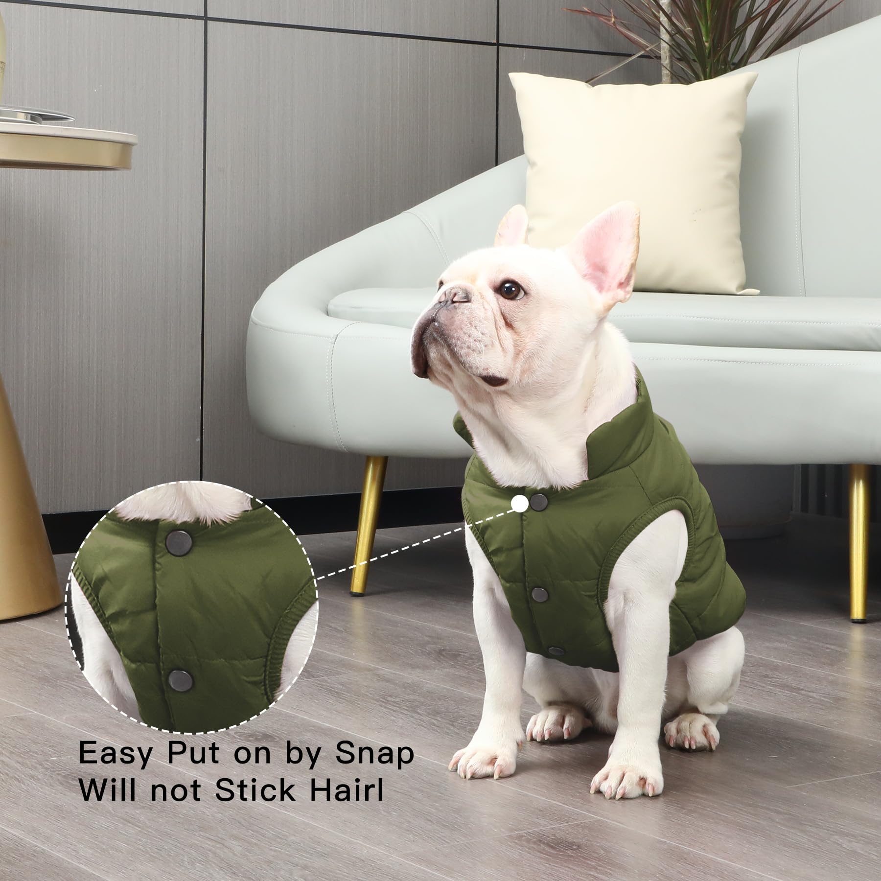 Joydaog Fleece Lined Warm Dog Jacket For Winter Cold Weather,Soft Windproof Medium Dog Coat,Green Xl