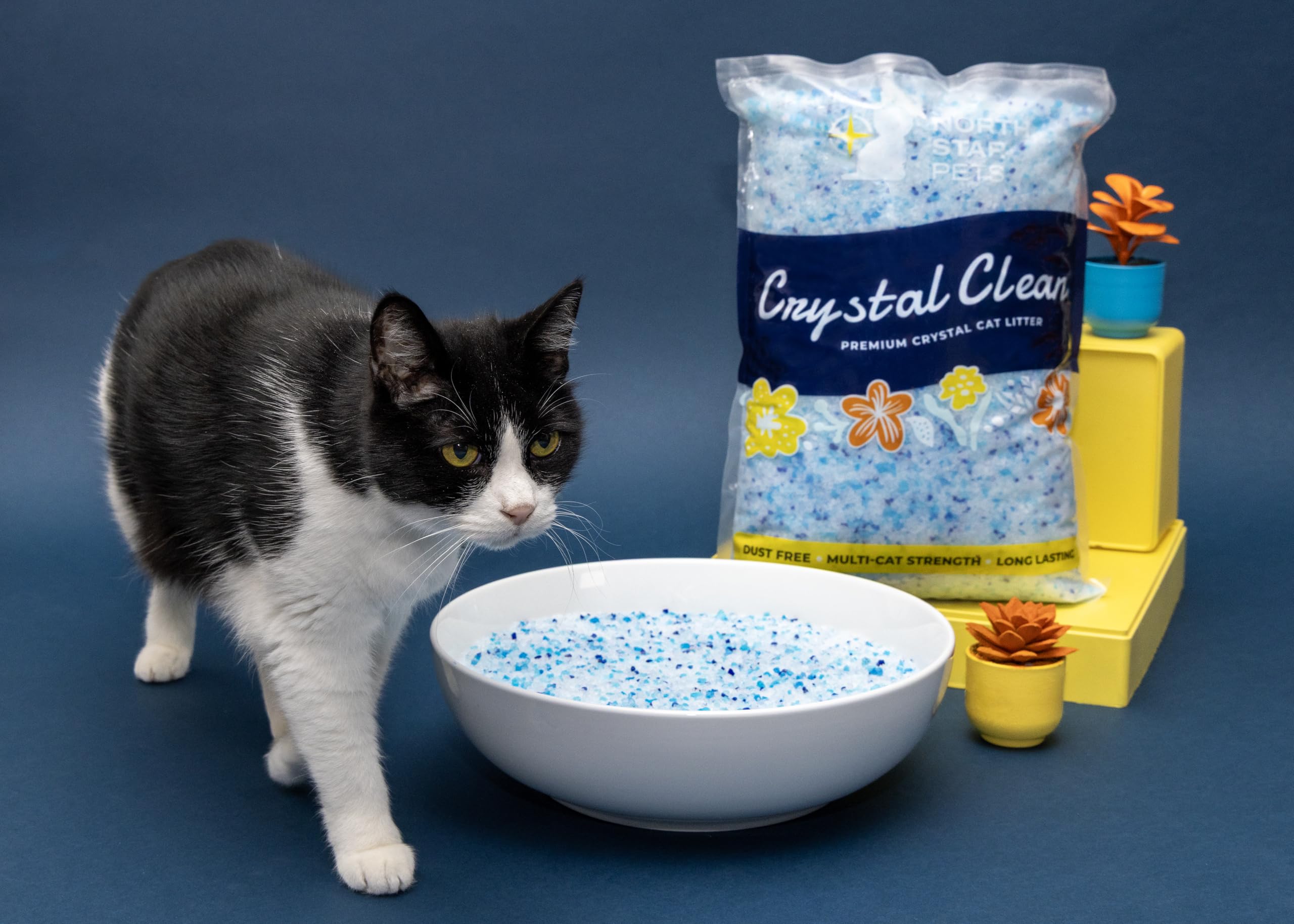 North Star Pets Crystal Cat Litter, Fresh Scent, Non-Clumping, Silica Gel, 2X4.3 Lb Bags, Odor Control, Blue, Model CL01