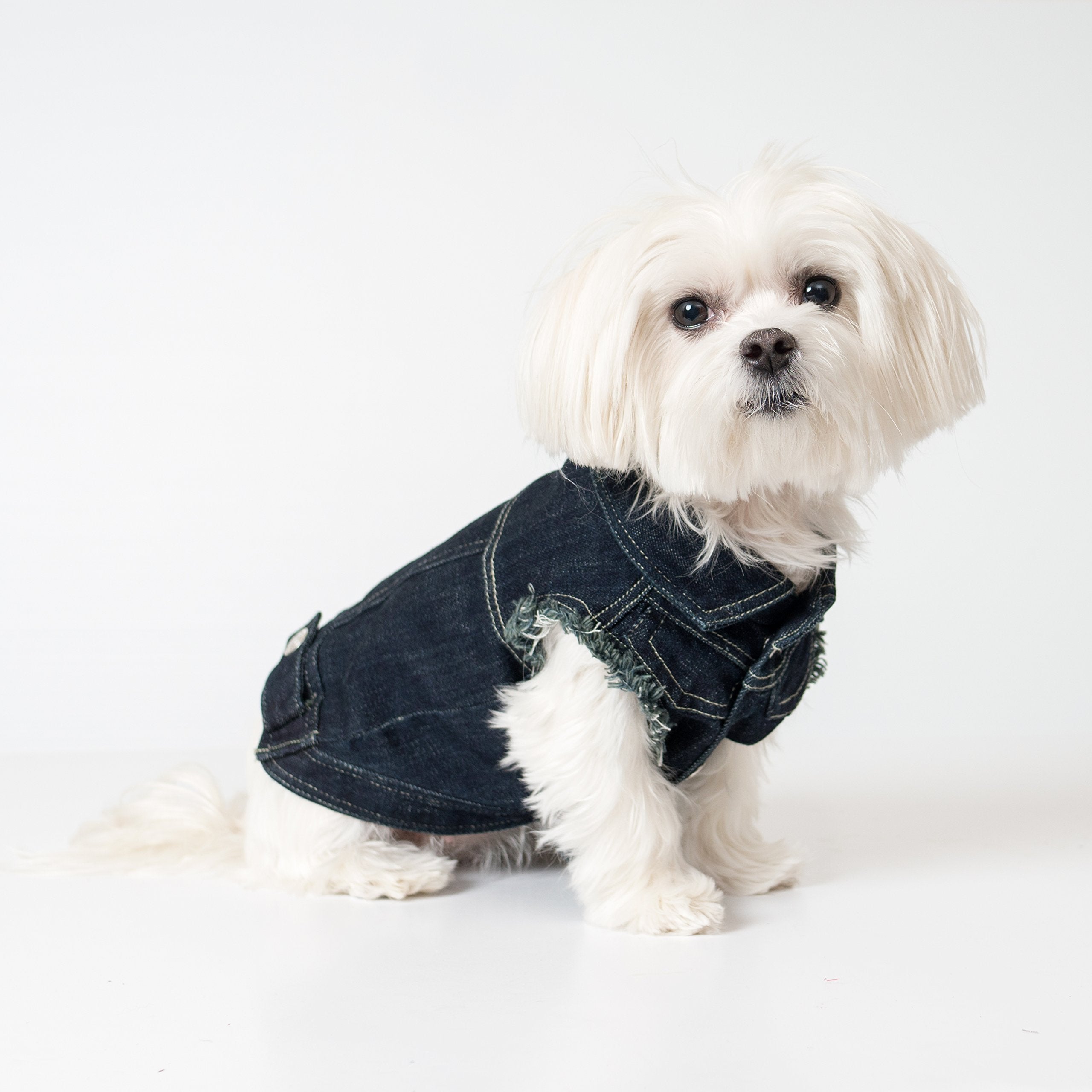 United Pups Fashion Jean Jacket For Dogs (Chill Pups Navy Blue, Size 4)