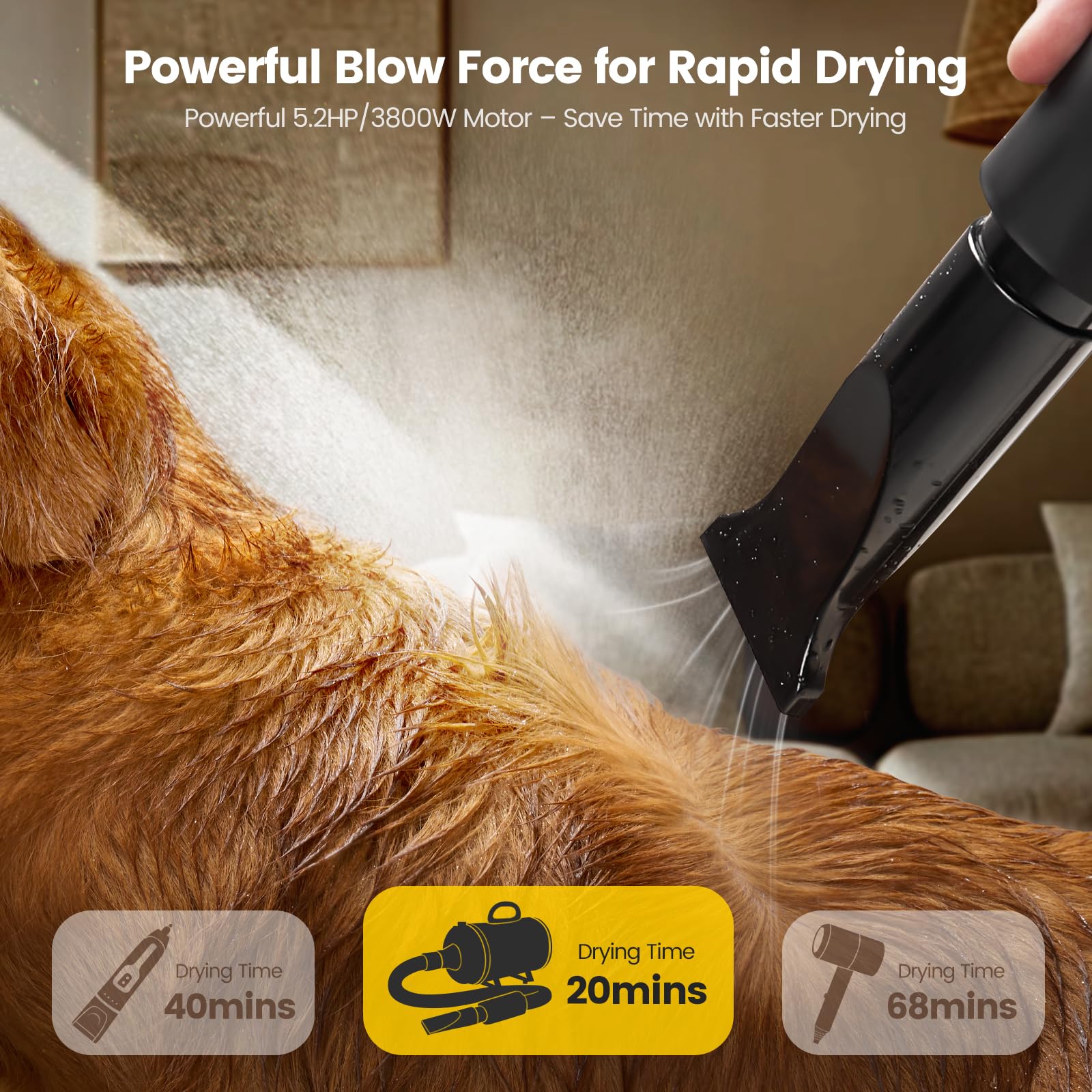 Auorc Dog Dryer, 5.2Hp/3800W High Velocity Dog Hair Dryer With 4 Nozzles, Stepless Adjustable Speed & Temperature Control, Low N