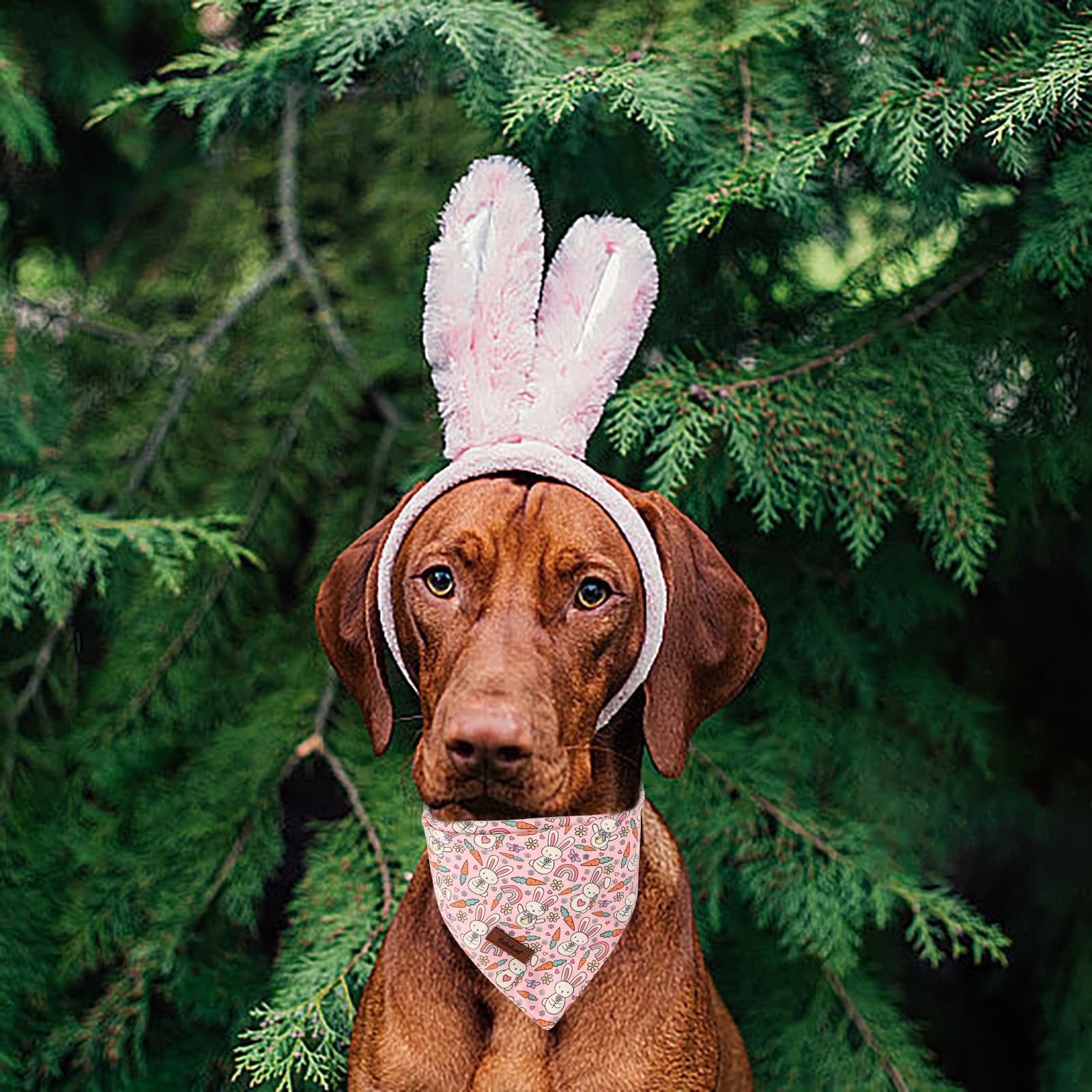 Babole Pet Easter Dog Bandanas 2 Pack, Pink Bunny & Chick Pattern Easter Dog Scarf Bib For Boy And Girl, Cute Holiday Bandana Fo