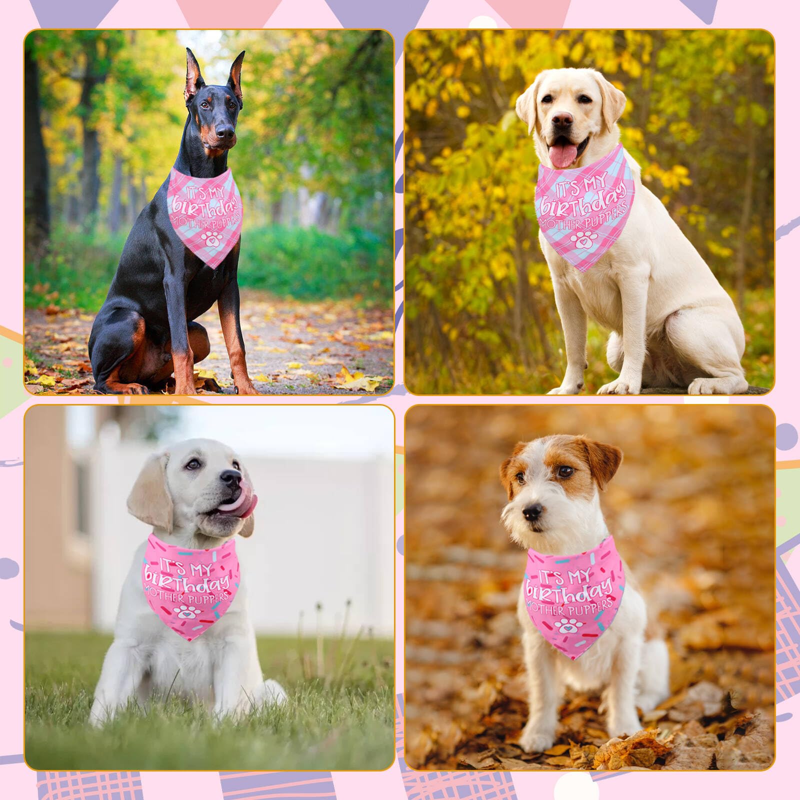 Gofshy Dog Birthday Bandana Small Reversible Multi Size Offered For Dog Birthday Girl, Dog Birthday Party Supplies For Xsmall To
