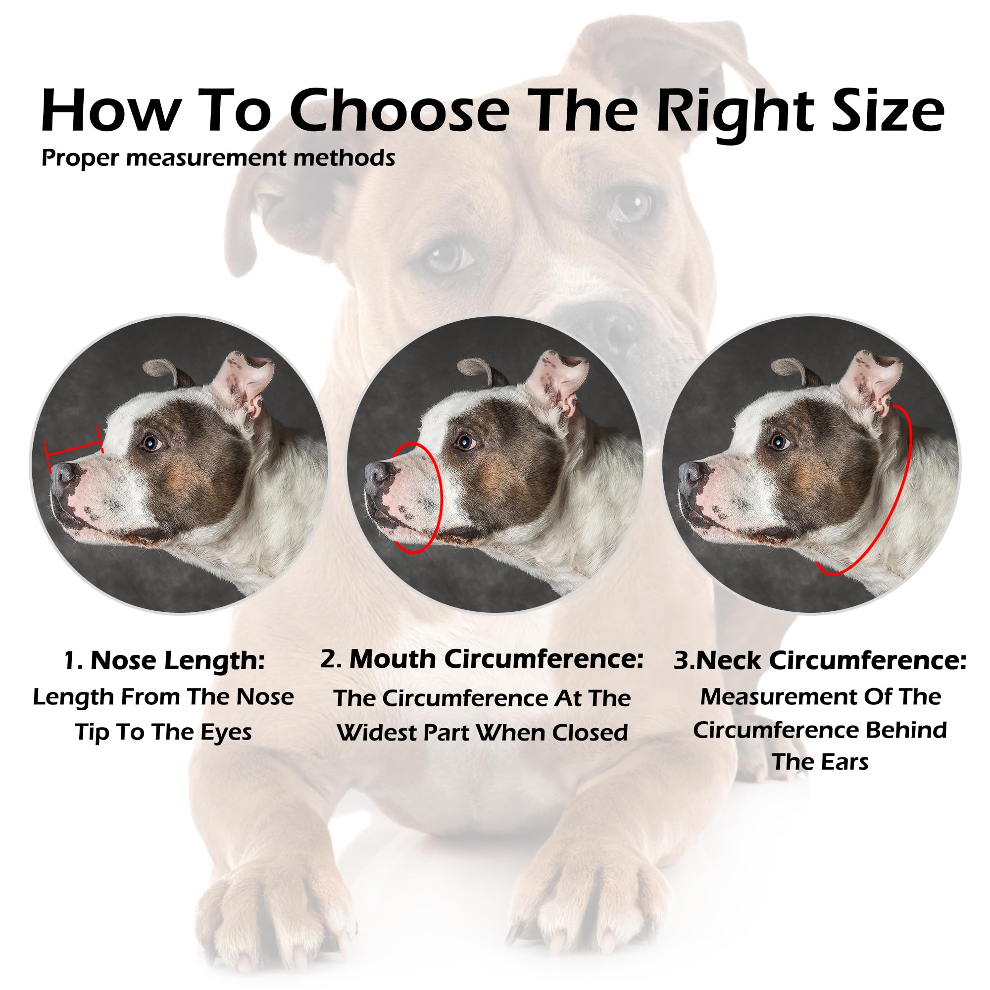 Oopsdoggy Pitbull Dog Muzzle For Large Dogs - Leather Breathable Secure Basket Muzzle For Medium Large Breeds Prevents Biting No