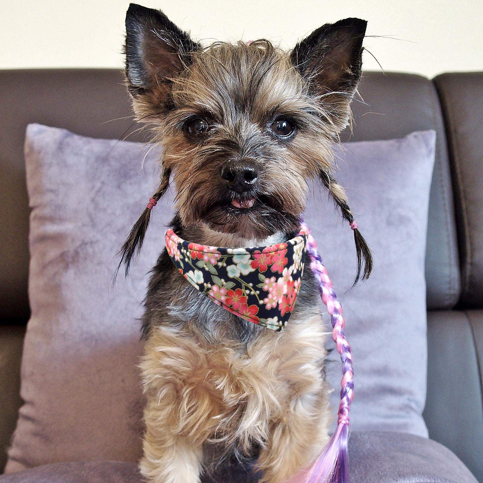 3Pcs Bow Tie Dog Collar And Leash Set Plaid/Camo/Dots/Flower Dog Bandanas With Bell 3 Size Adjustable For Small Dogs Puppies And Cats (S, Black Flower)