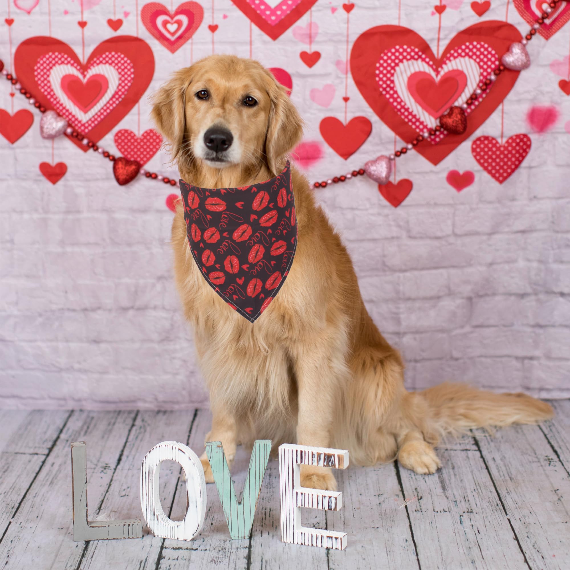 ADOGGYGO 4 Pack Valentine Dog Bandana Triangle Pet Scarf Red Pink Heart Pattern Valentine Bandanas for Large and Extra Large Dog