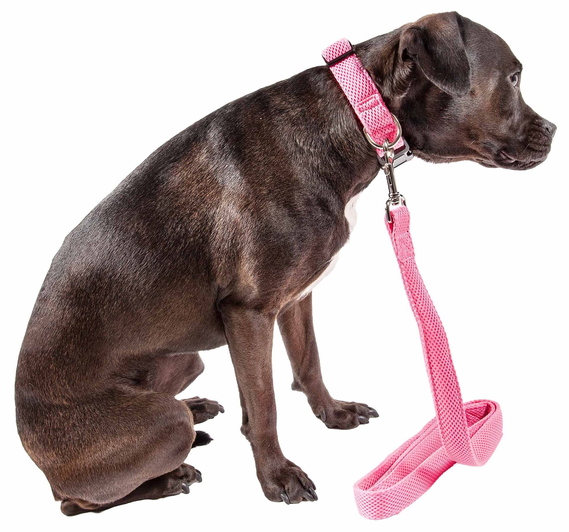 Pet Life ® 'Aero Mesh' 360 Degree Dual Sided Comfortable And Breathable Adjustable Fashion Mesh Dog Collar And Dog Leash For Small Medium And Large Dogs