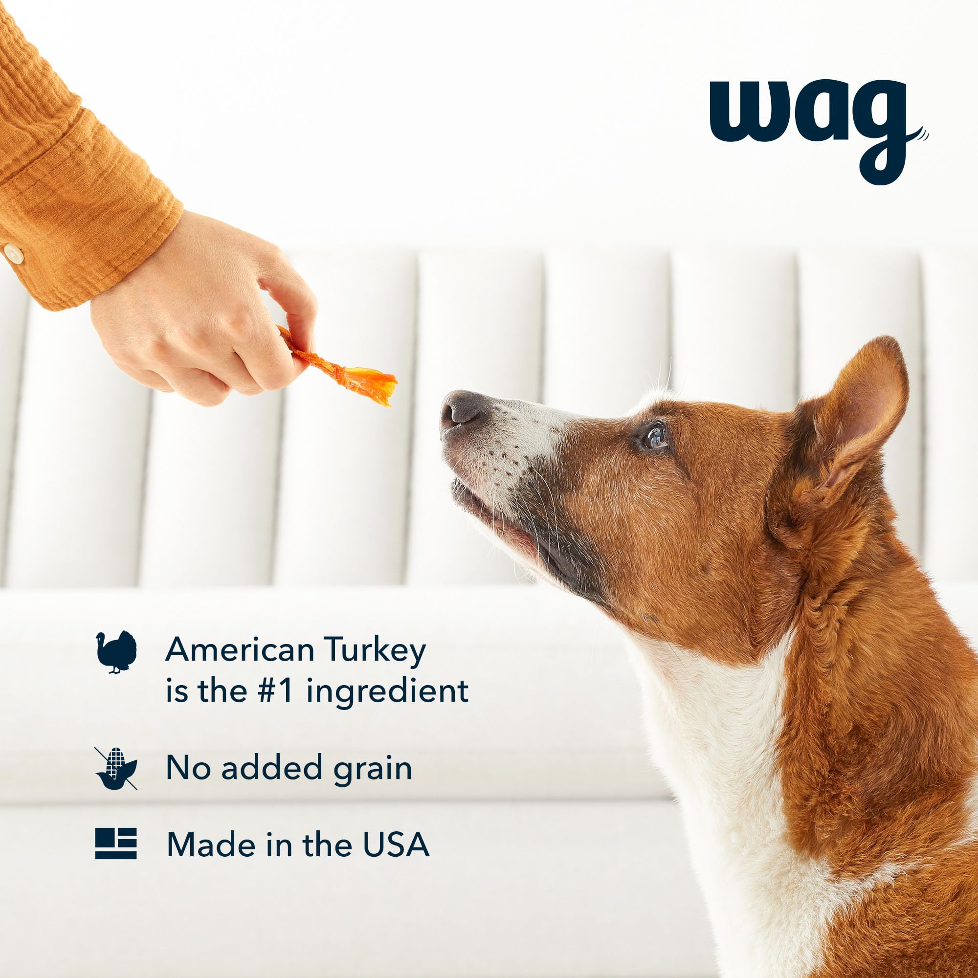 Amazon Brand - Wag Soft & Tender American Jerky Dog Treats - Turkey & Sweet Potato, 16 Ounce (Pack of 1)