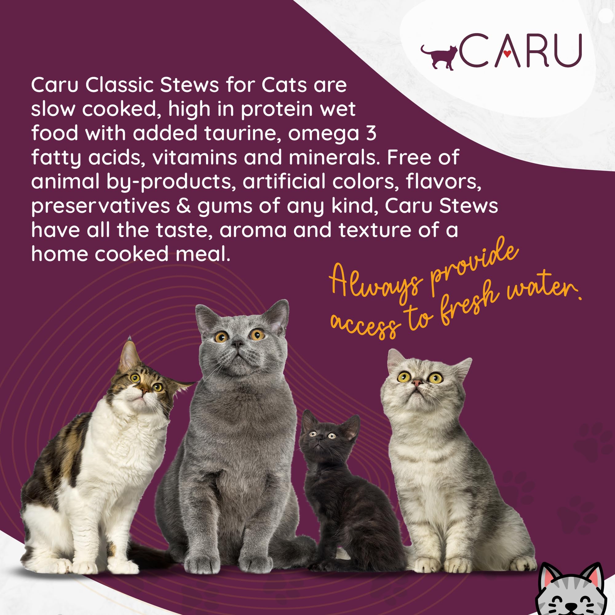 Caru Turkey Stew Wet Cat Food - Human Grade, Non-GMO, 5.5 oz, Case of 12 - Supports Overall Pet Health