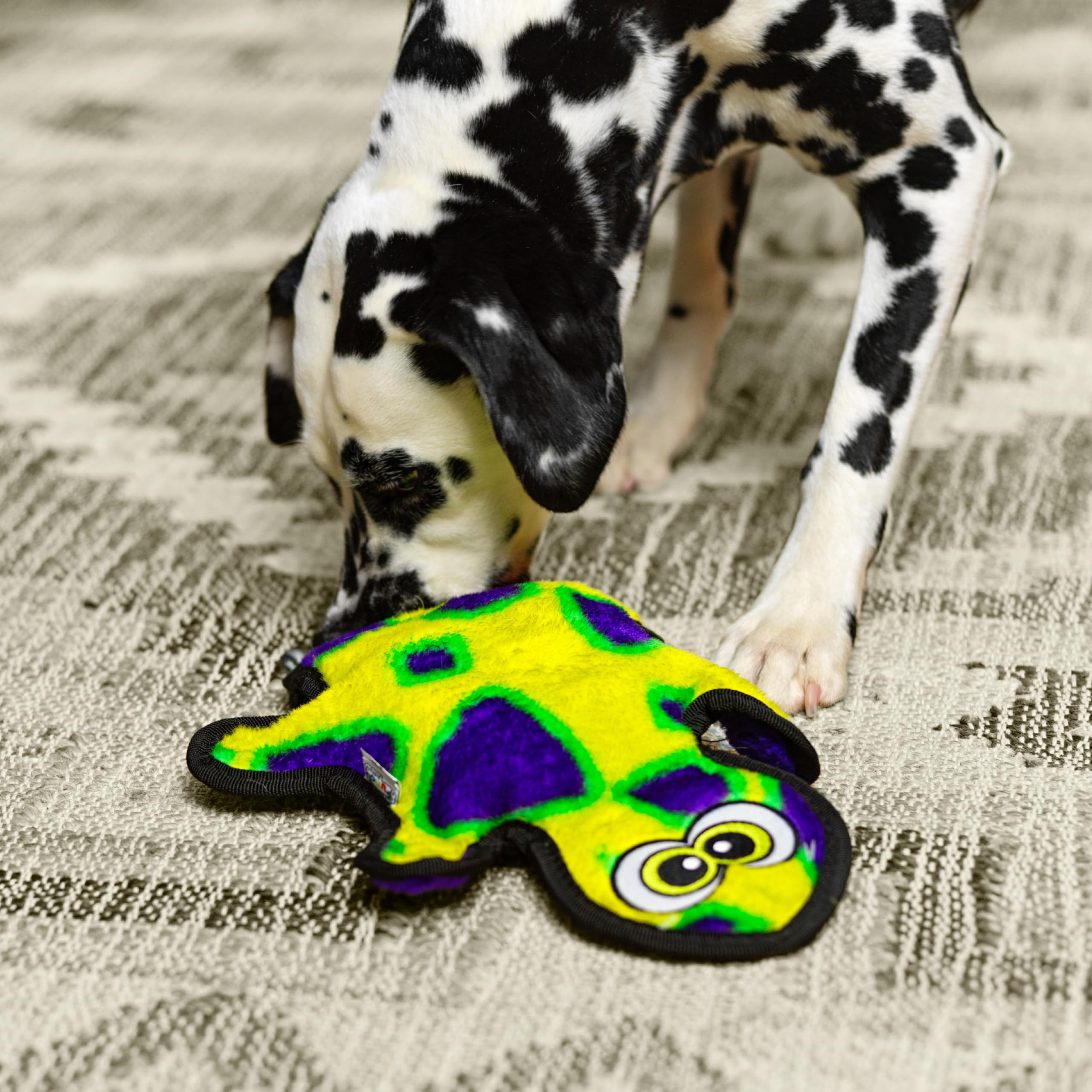 Outward Hound Durablez Tough Plush Squeaky Dog Toy, Gecko, Green, Medium