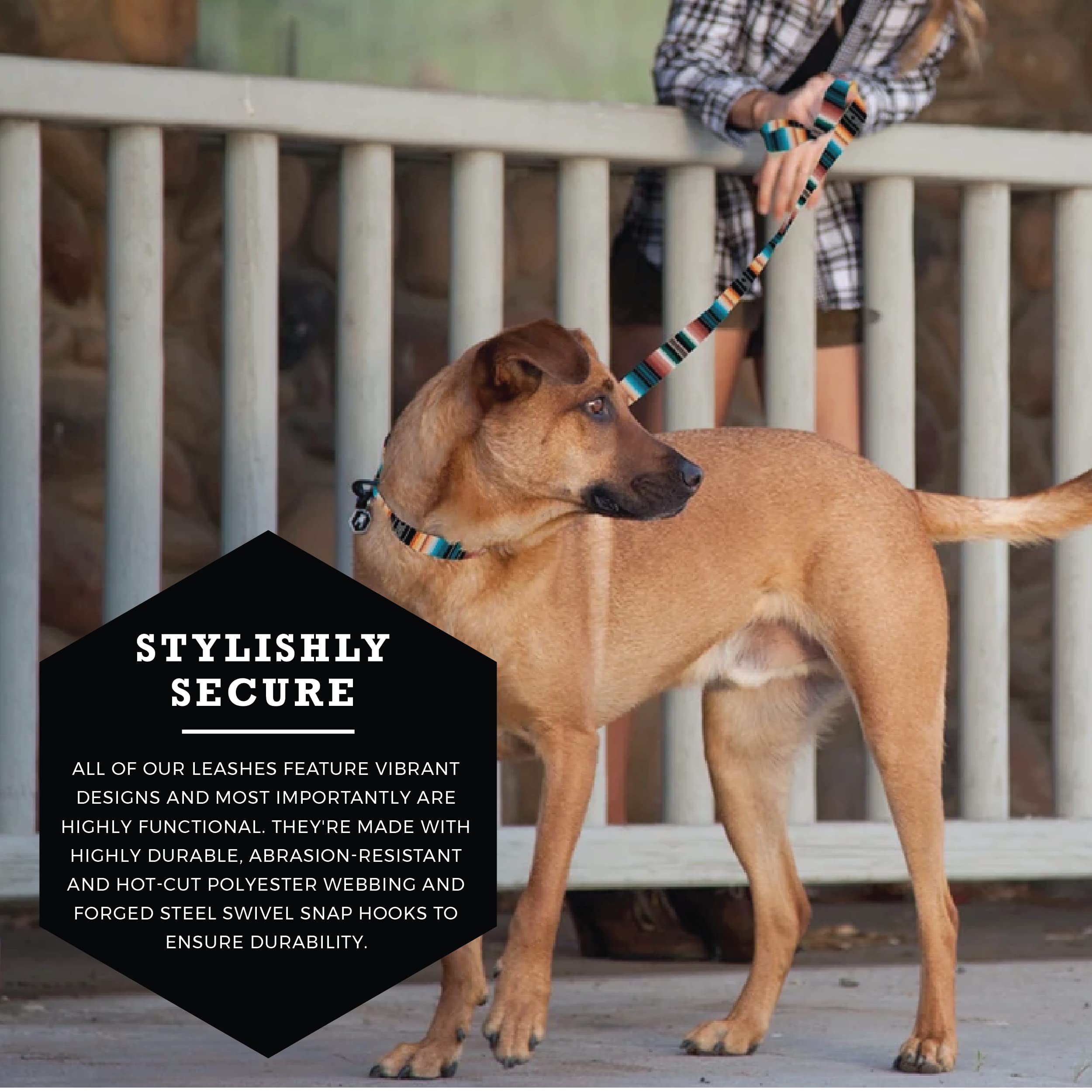 Wolfgang Heavy Duty Dog Leash, Pull-Tested To Over 800 Lbs For Walking & Training, Lostart Print, Small