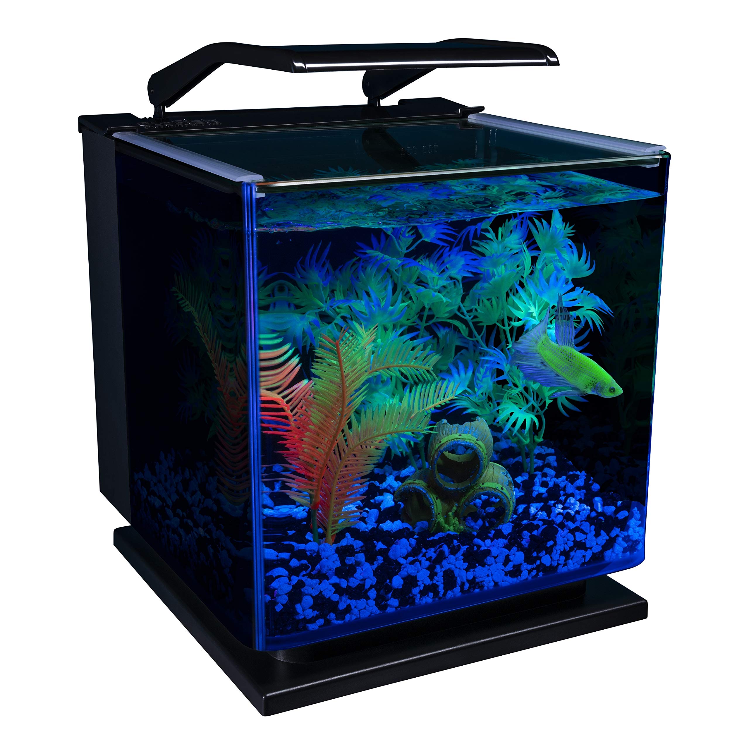 GloFish Betta Shadowbox Aquarium Kit 3 Gallons, Includes LED Lighting And Filter