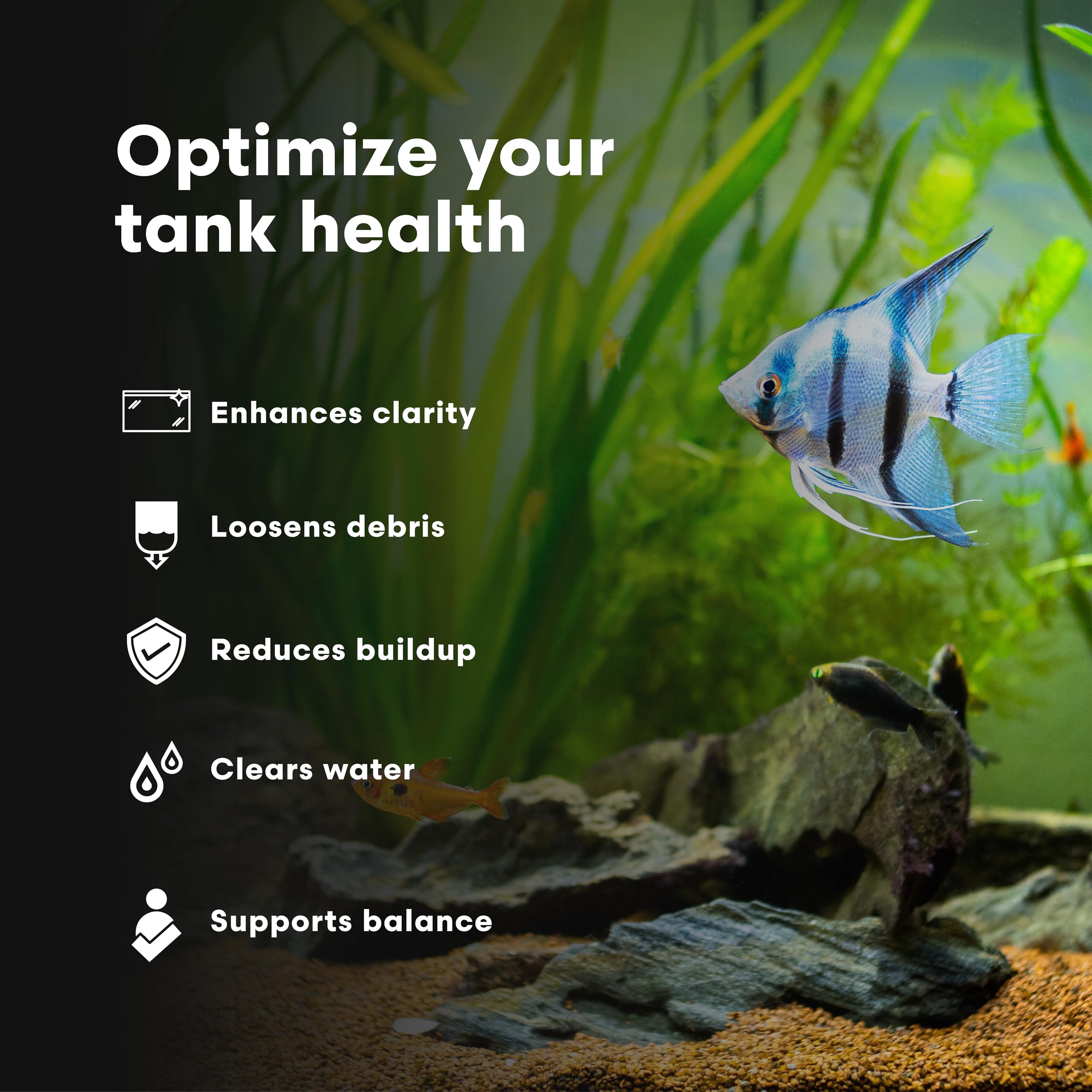 Brightwell Aquatics Razor Freshwater Systemic Aquarium Cleaner for Freshwater & Brackish Aquariums, 2L
