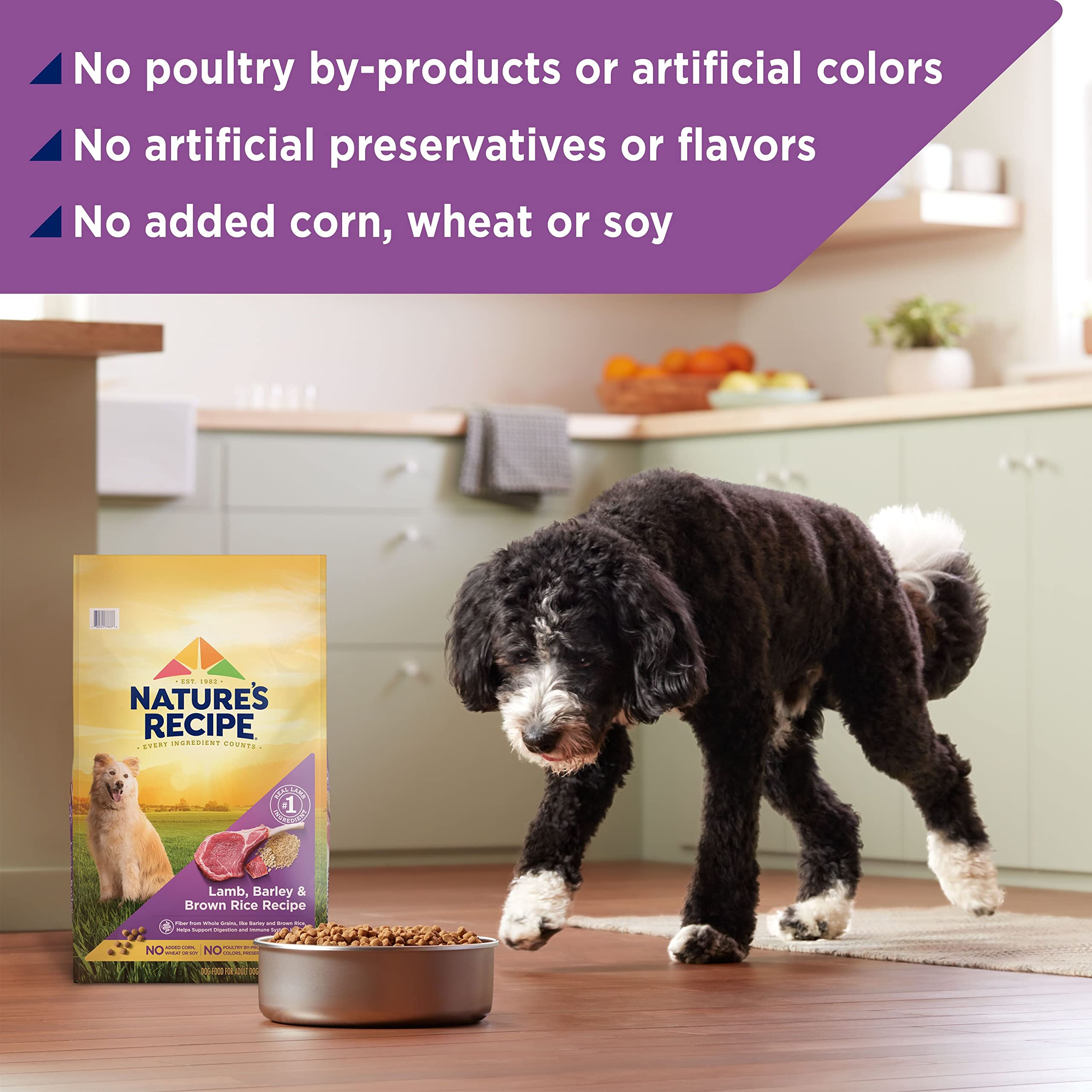Natures Recipe Lamb, Barley & Brown Rice Recipe Dry Dog Food, 34 lb. Bag