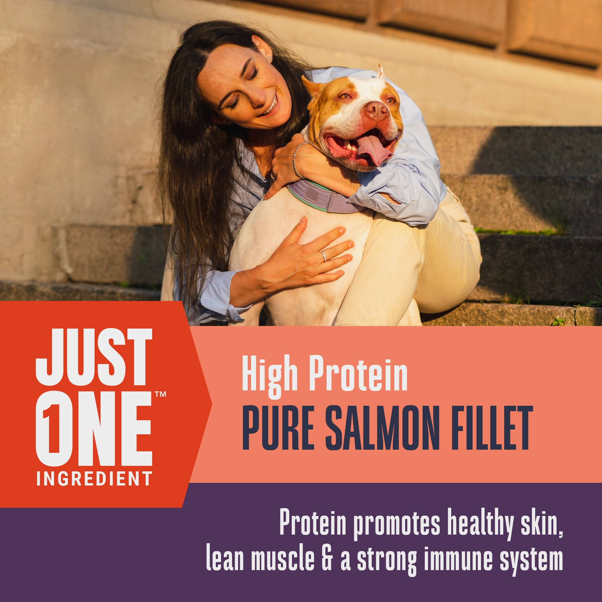Whole Life Dog Just One Salmon Freeze Dried Dog Treats - Human Grade High Protein Food, Healthy Training Snacks, Freeze Dried Sa