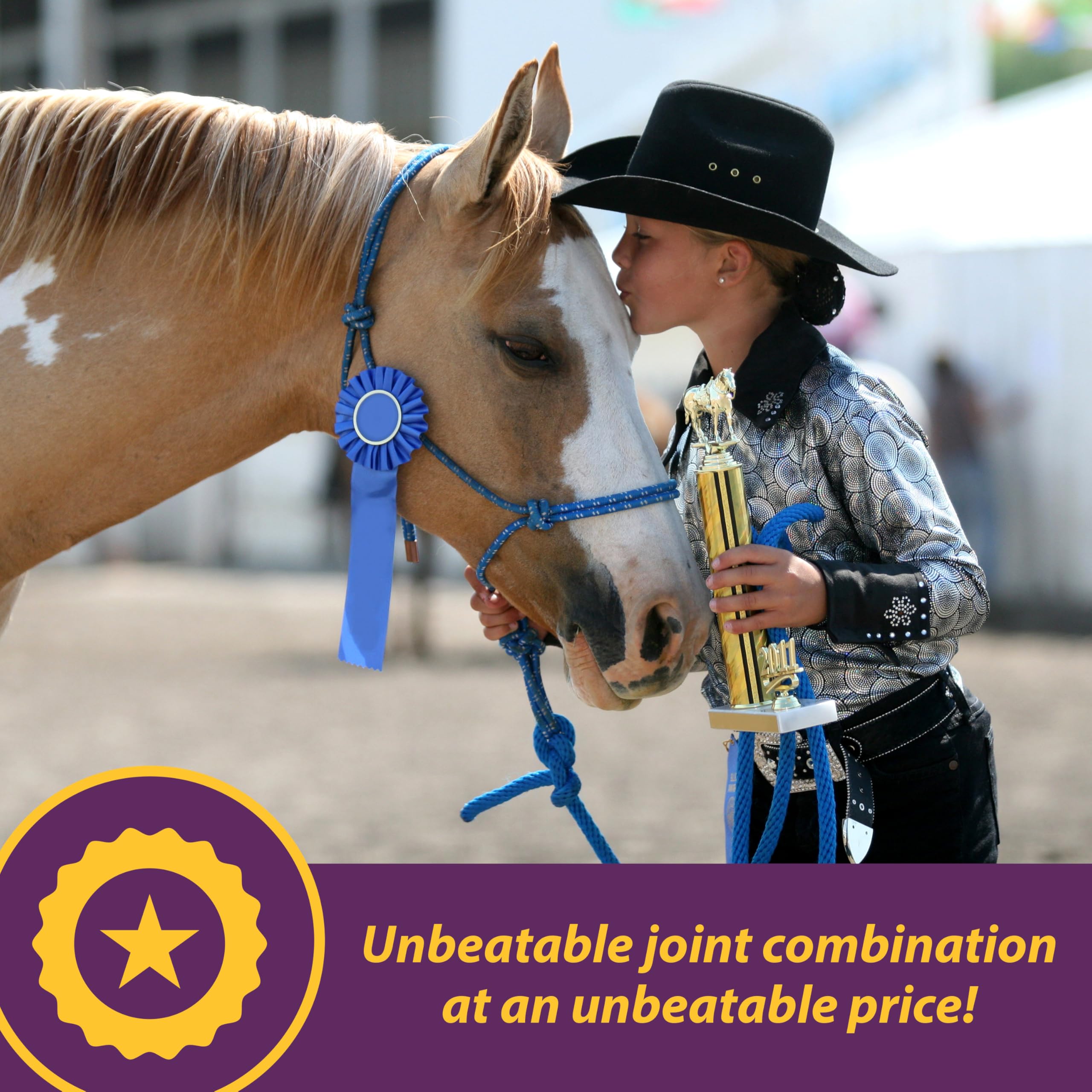 Horse Health Joint Combo Classic, An Unbeatable Joint Combination Supplement for Horses, Cinnamon Apple 8 Pounds