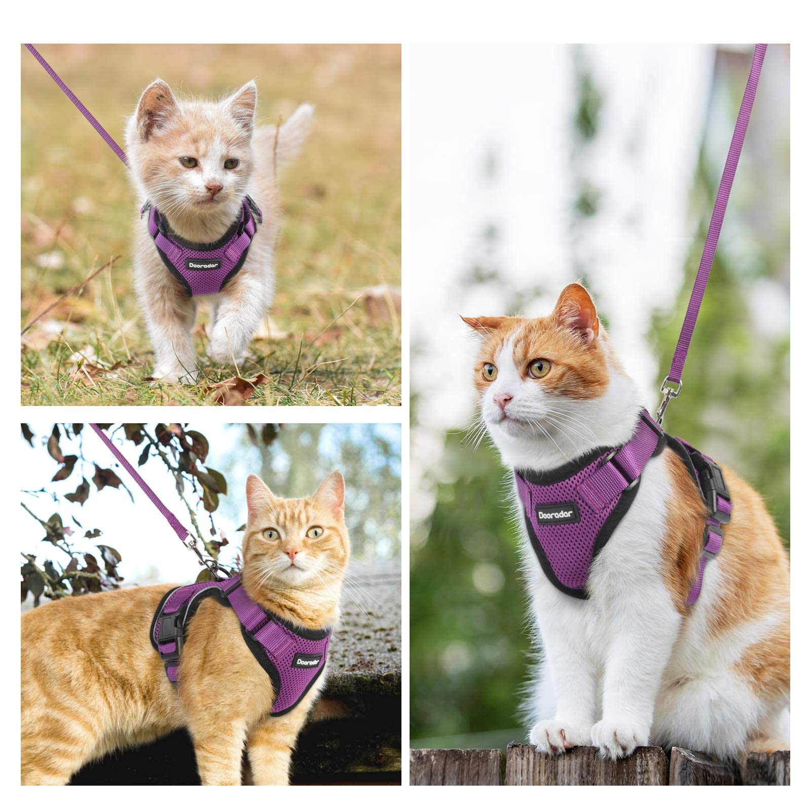 Dooradar Cat Harness And Leash Set, Escape Proof Safe Adjustable Kitten Vest Harnesses For Walking, Easy Control Soft Breathable Mesh Jacket With Reflective Strips For Cats, Purple, S