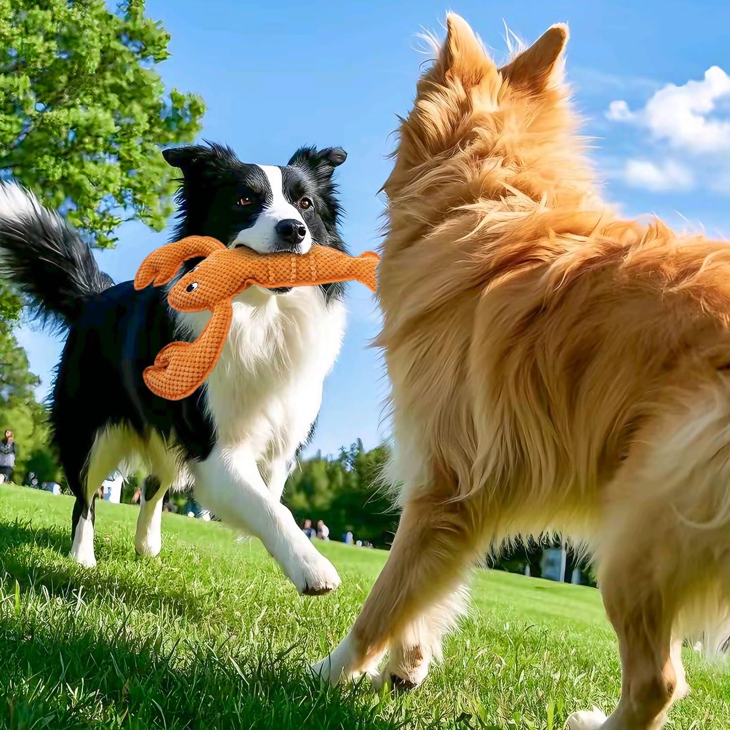 Vwptchi Dog Toy Squeaky Durable Chew Lobster Dog Toys No Pp-Cotton,No Filling,No Stuffed For Small, Medium, Large Breed Dogs Int