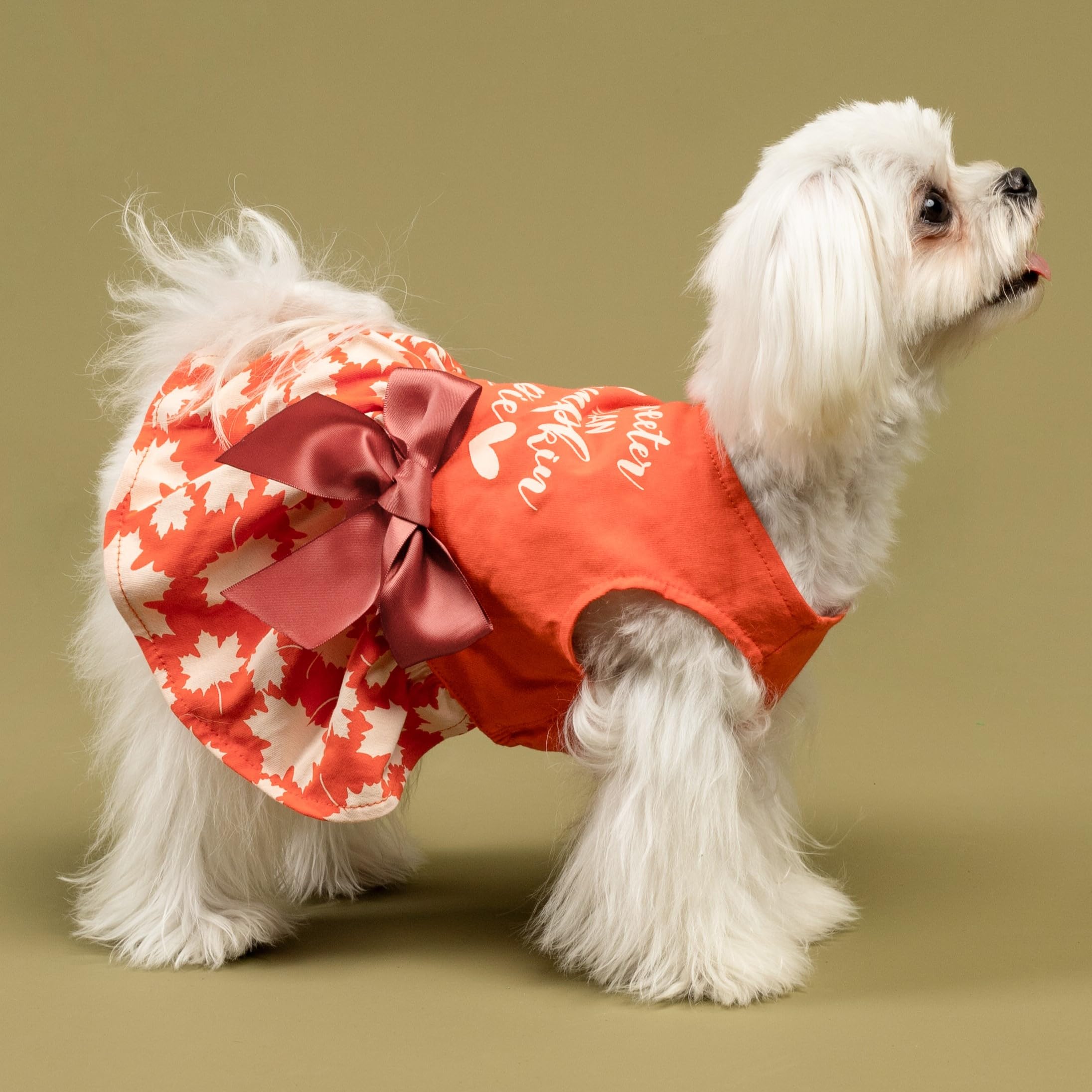 Fitwarm Thanksgiving Sweeter Than Pumpkin Pie Dog Dress 100% Cotton Puppy Costumes Pet Clothes Holiday Girl One-Piece Doggy Outf