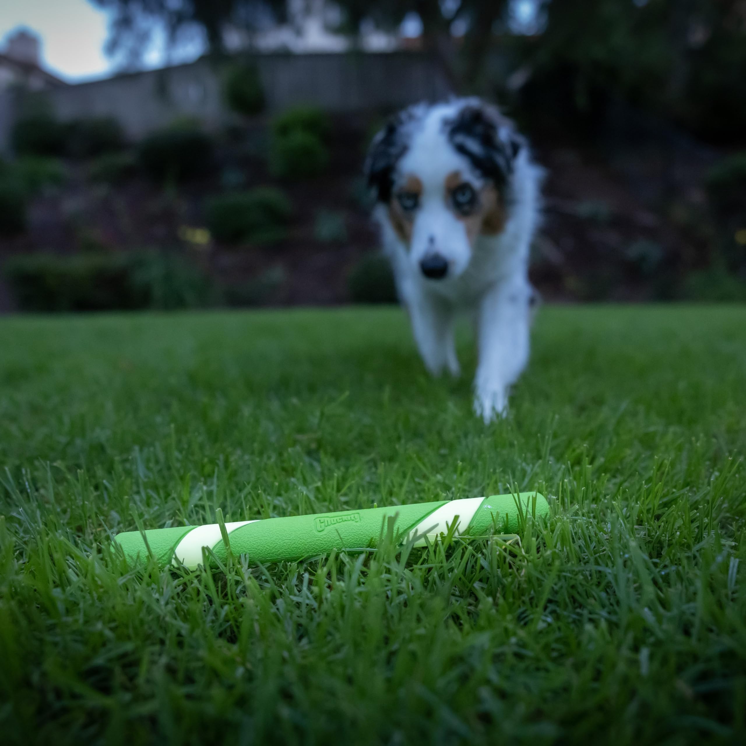 Chuckit! Max Glow Ultra Fetch Stick Outdoor Dog Toy, 12 Inches, For All Breed Sizes