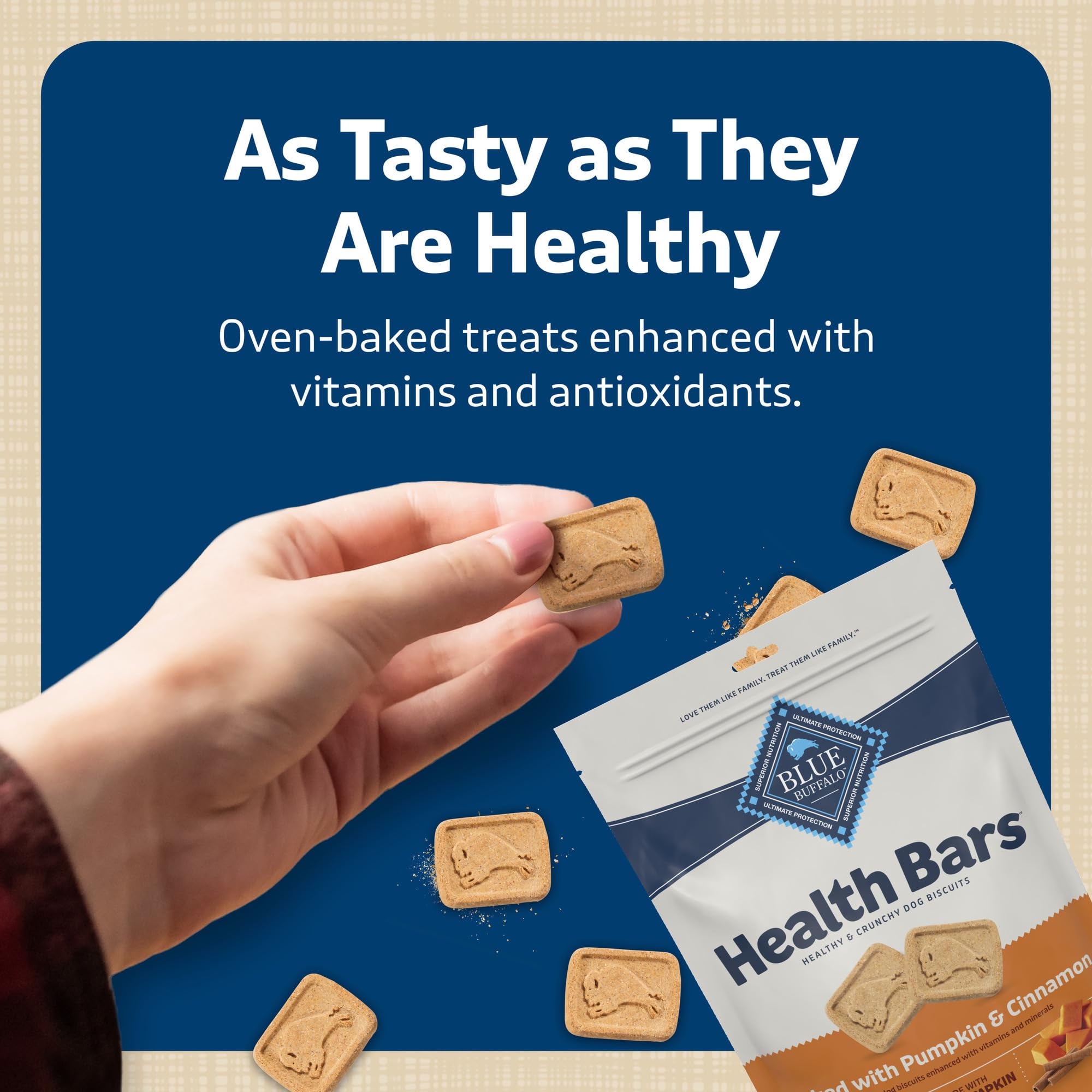 Blue Buffalo Health Bars Pumpkin and Cinnamon
