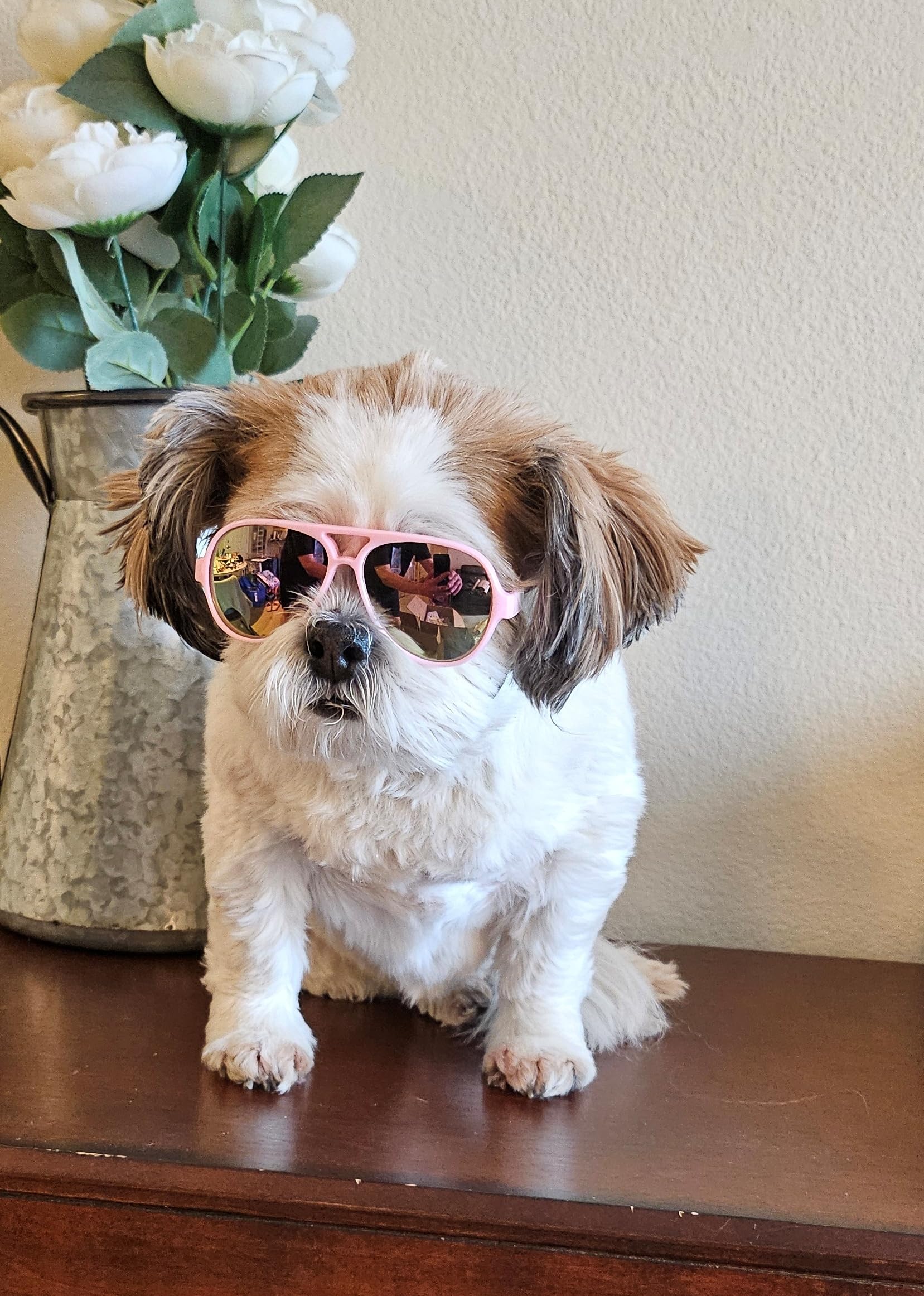 G029 Dog Cat Pet Aviator Sunglasses Glasses For Small Breeds Up To 15Lbs (Pink-Pink Mirror)