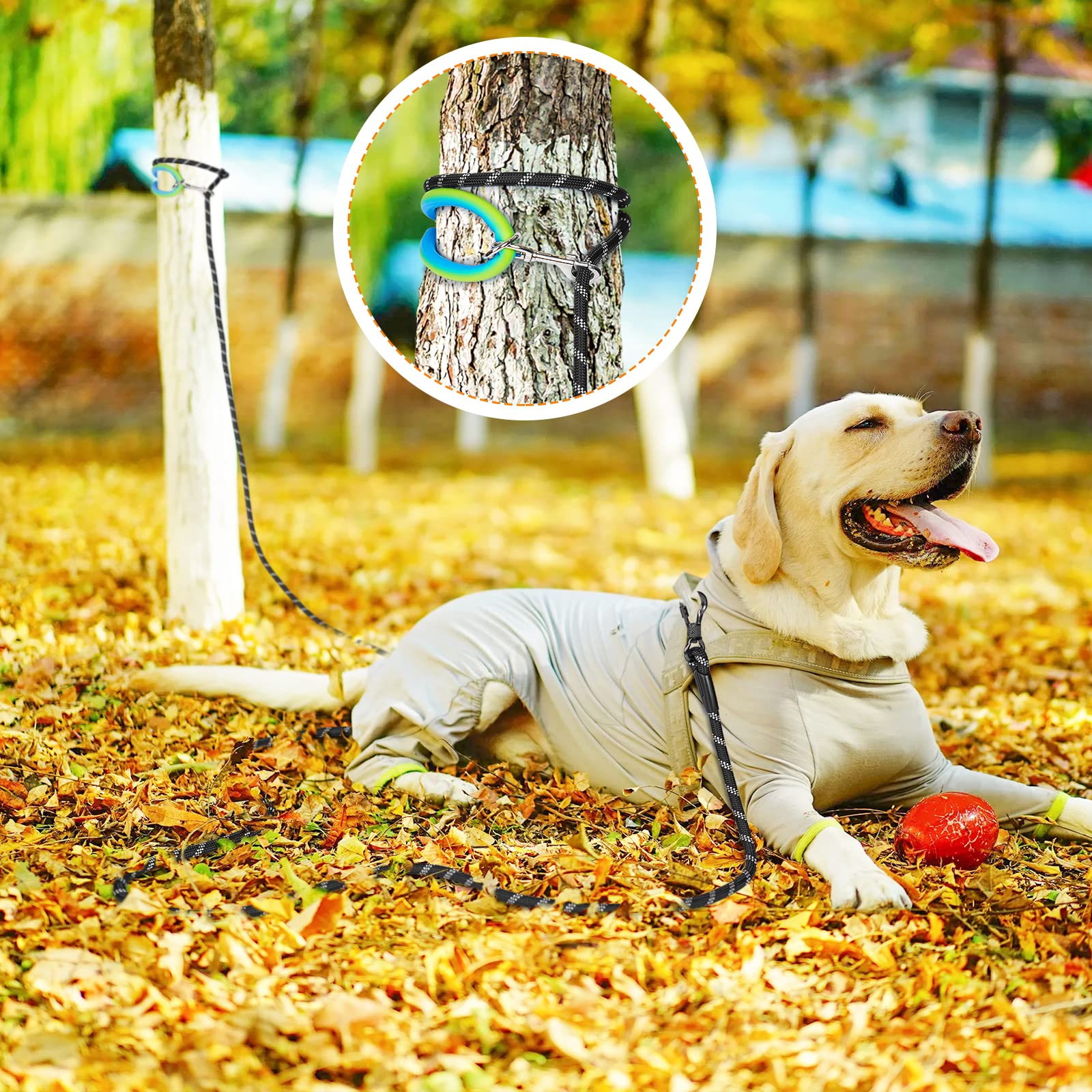 Ntr 40Ft Training Leash For Dogs, Nylon Rope With 2 Swivel Hooks And Soft Rubber Handle, Cat Puppy Lead For Small Medium Large D